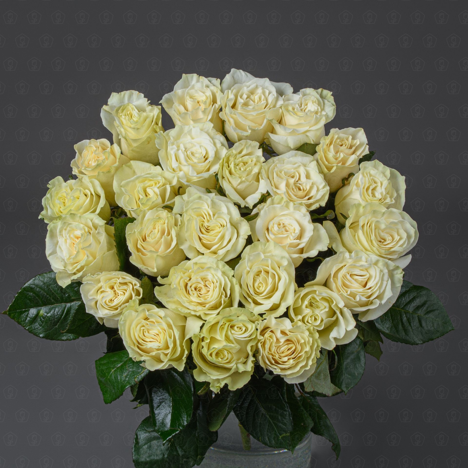 Акция! 25 роз Эквадор 70 см. (Мондиаль)