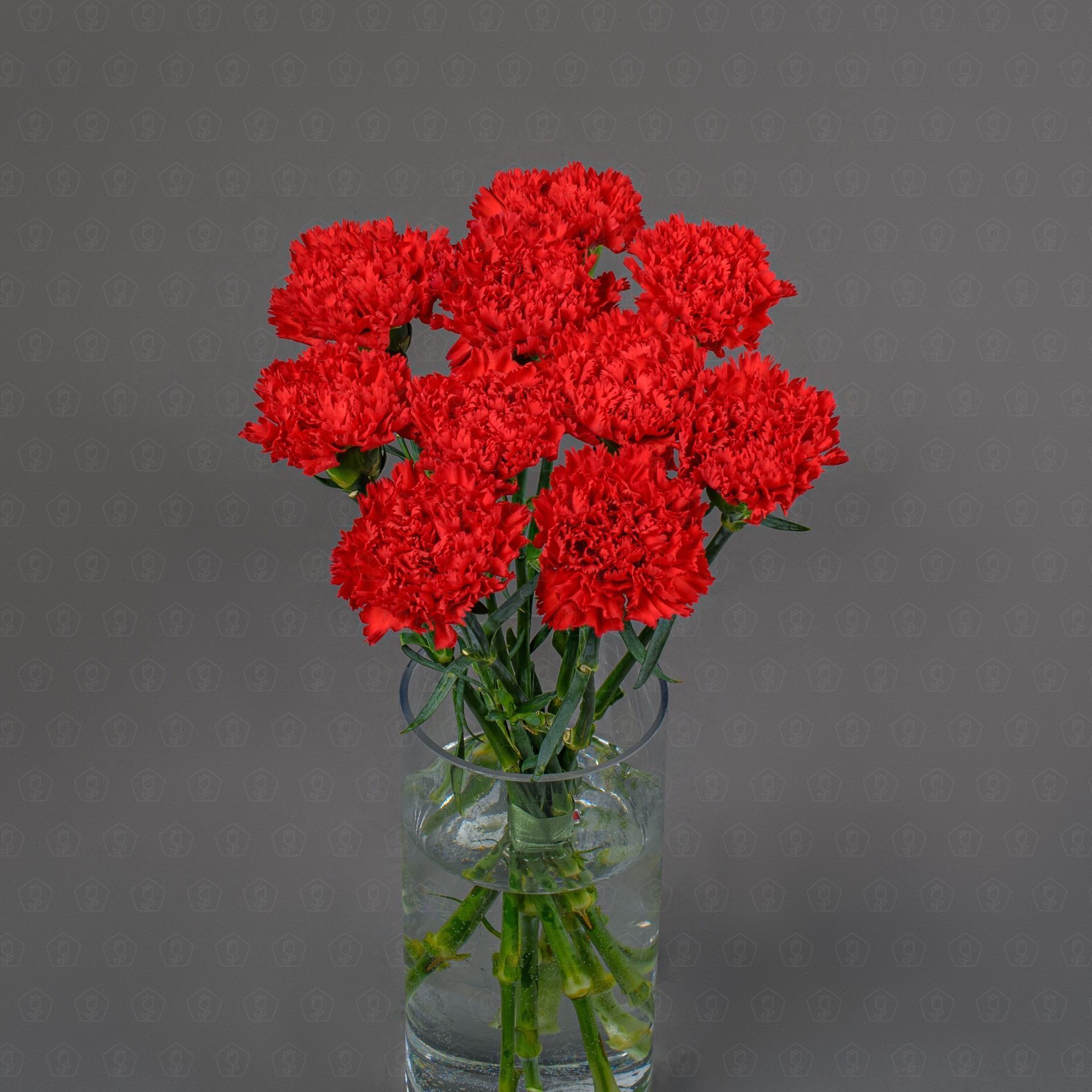 Гвоздика одноголовая (Красная)