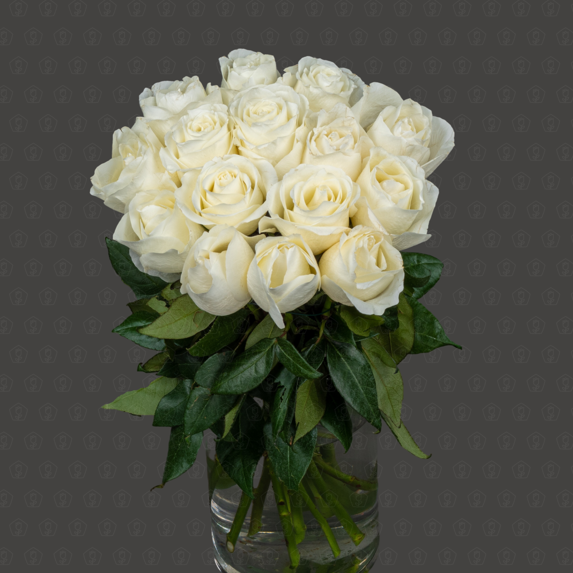 Роза Эквадор 50 см. (Тибет)