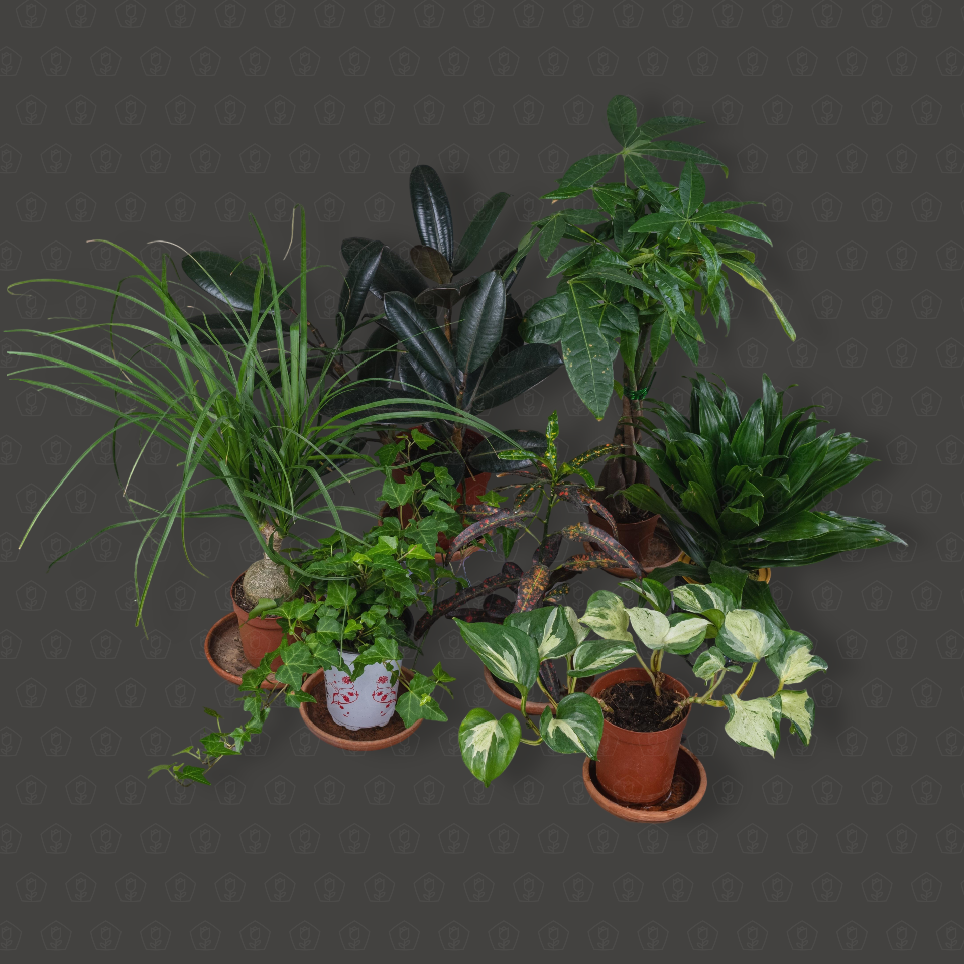 2. Другие растения