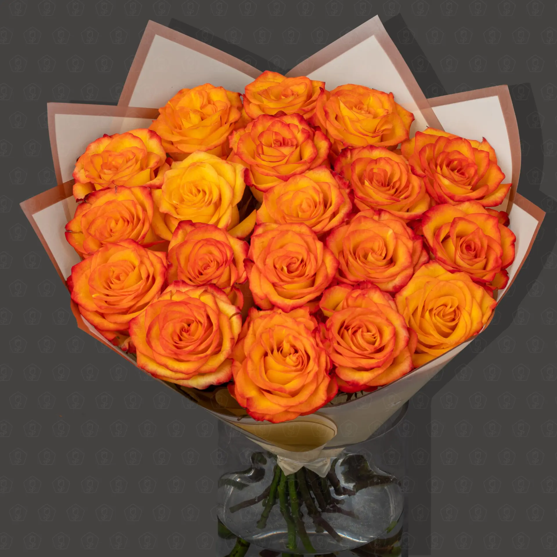 19 Роз Эквадор 50 см. "Апельсиновый восторг"