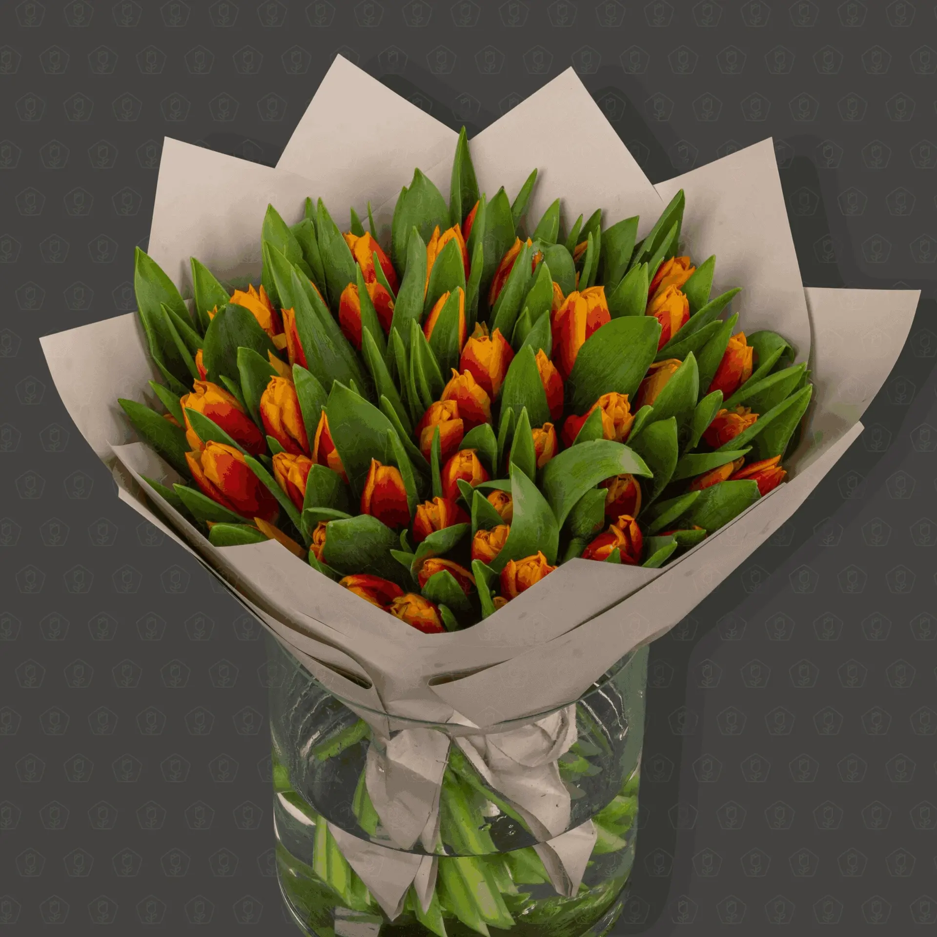 51 Красно-жёлтый тюльпан "Каприз"