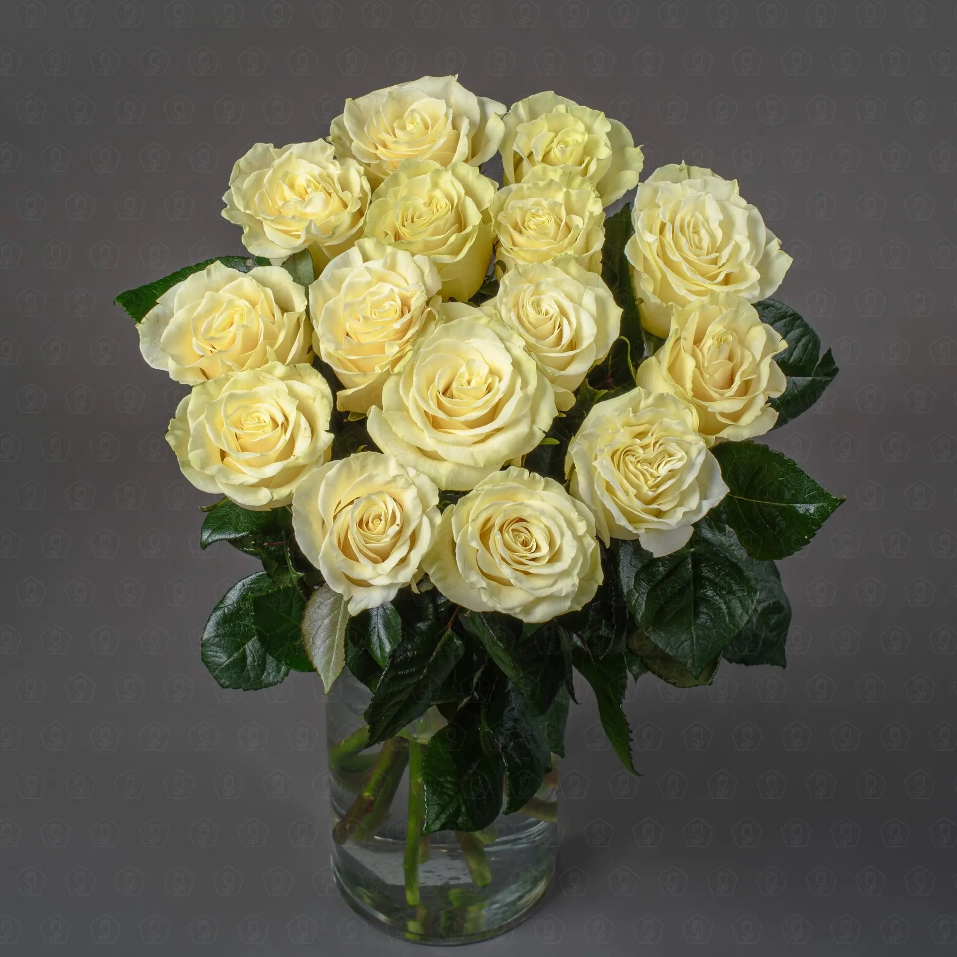 Роза Эквадор 50 см. (Мондиаль)