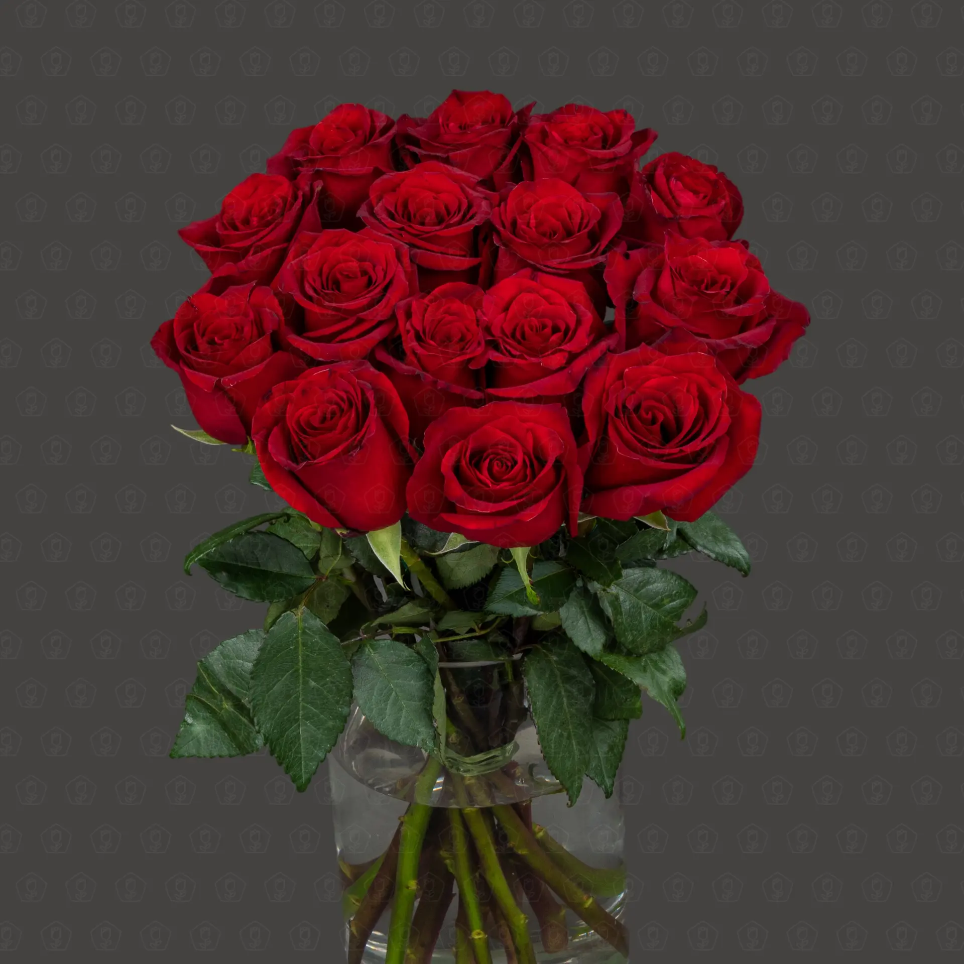 Роза Эквадор 60 см. (Эксплорер)