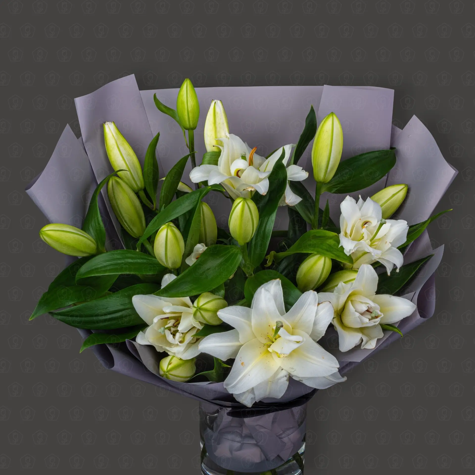 Изящество линий