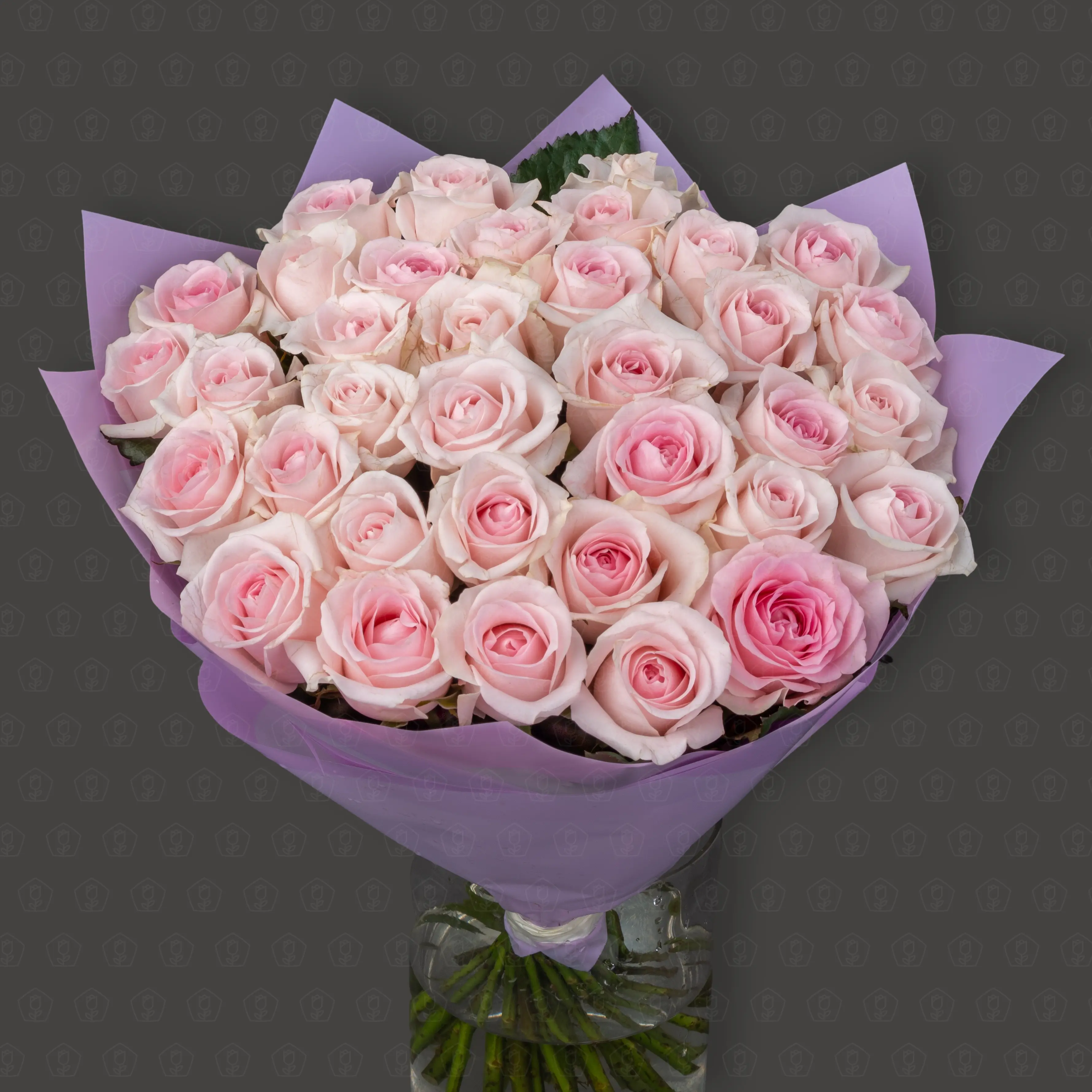 35 Роз Россия 50 см. "Первое свидание"