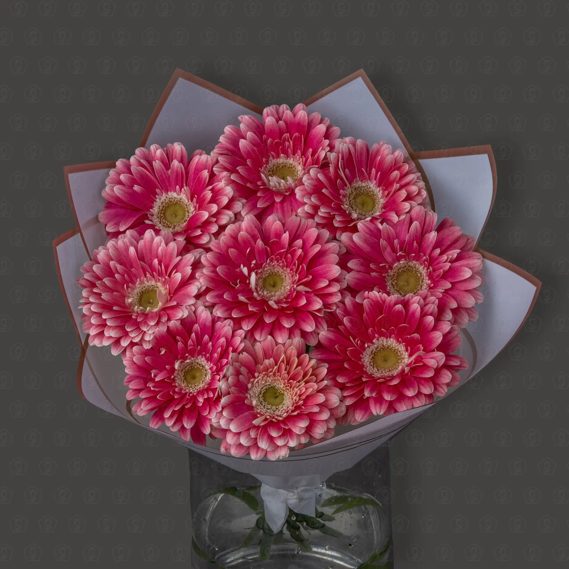 Акция! 9 Гербер Имидж с оформлением Премиум