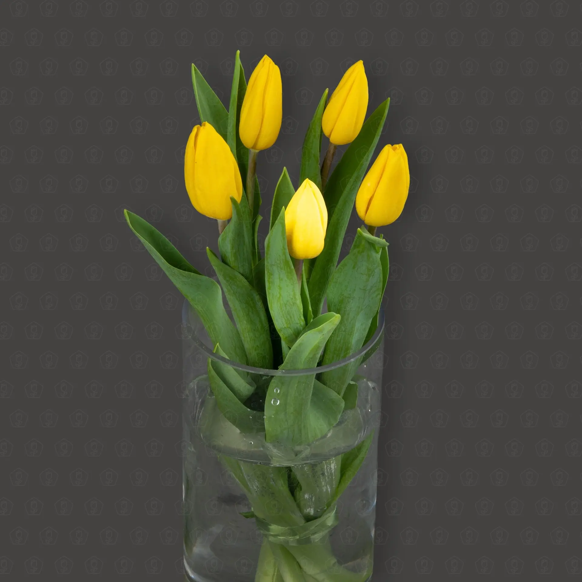 Тюльпан 50 см. (Желтый) Упаковка 5 шт.