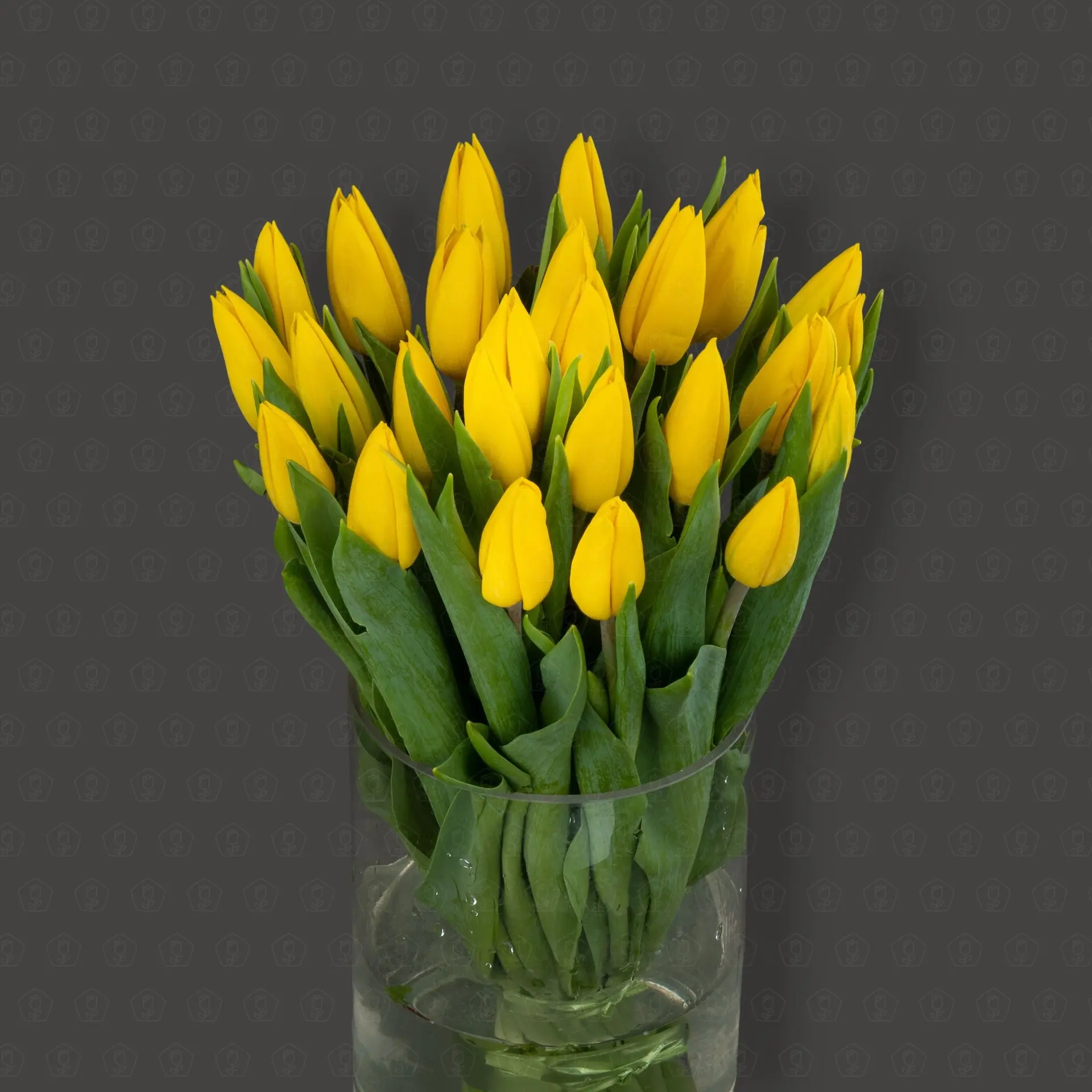 Тюльпан 50 см. (Желтый) Упаковка 25 шт.