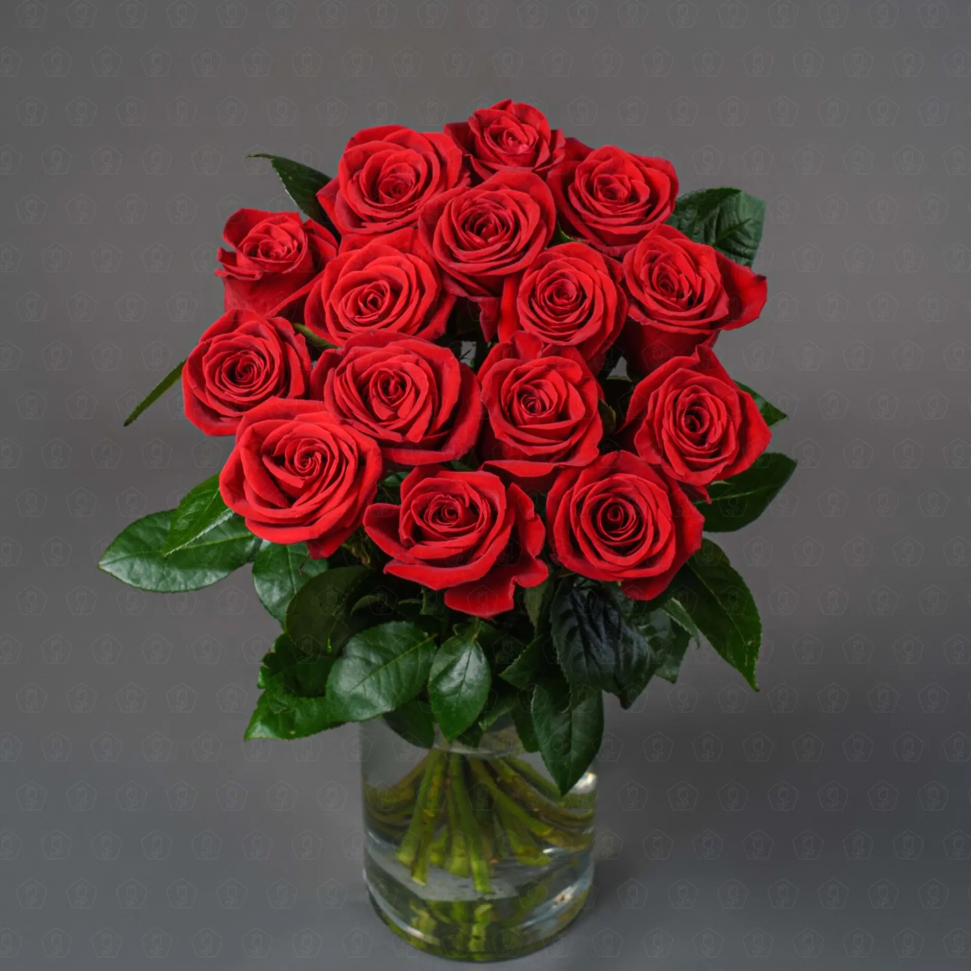 Роза Эквадор 60 см. (Фридом)