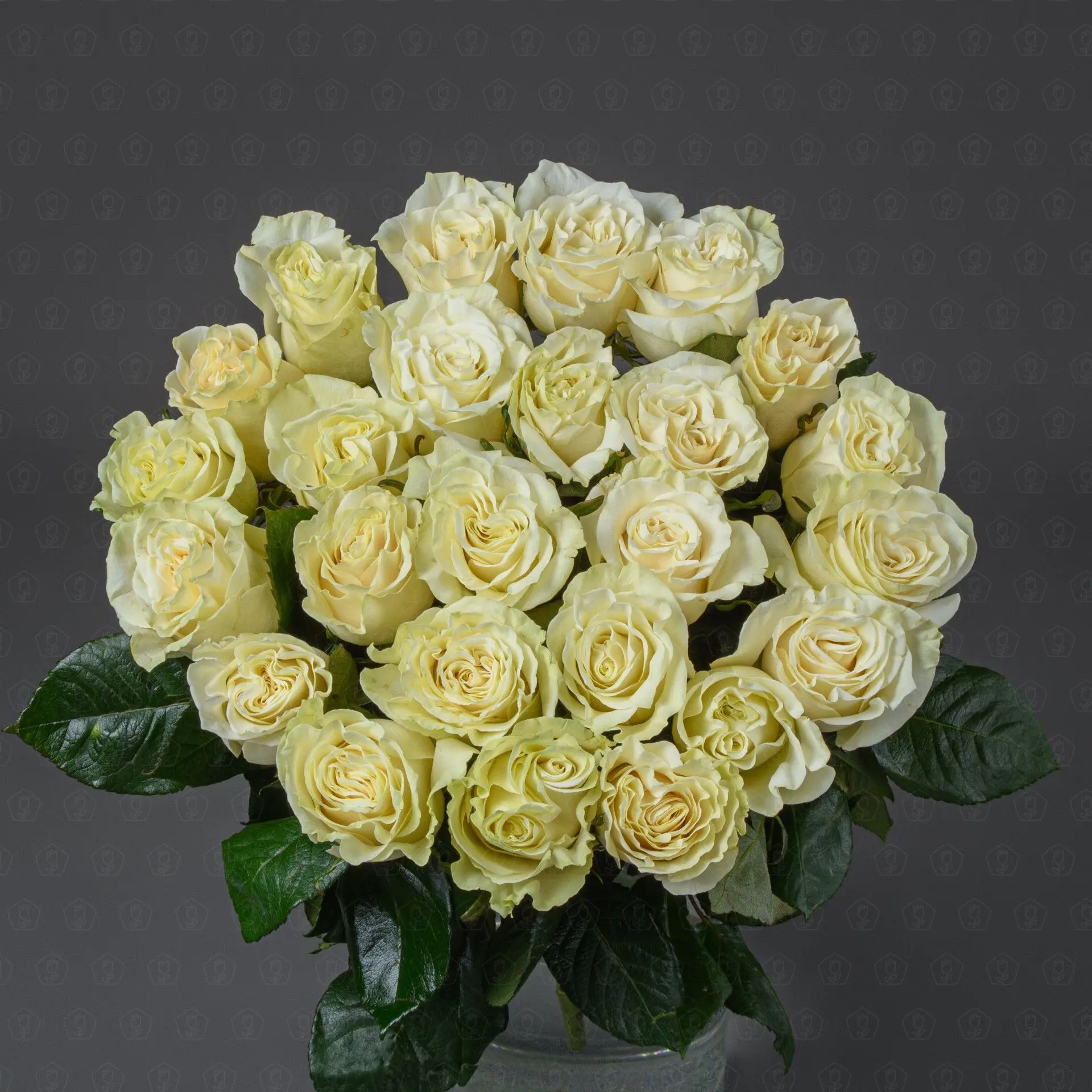 Акция! 25 роз Эквадор 70 см. (Мондиаль)