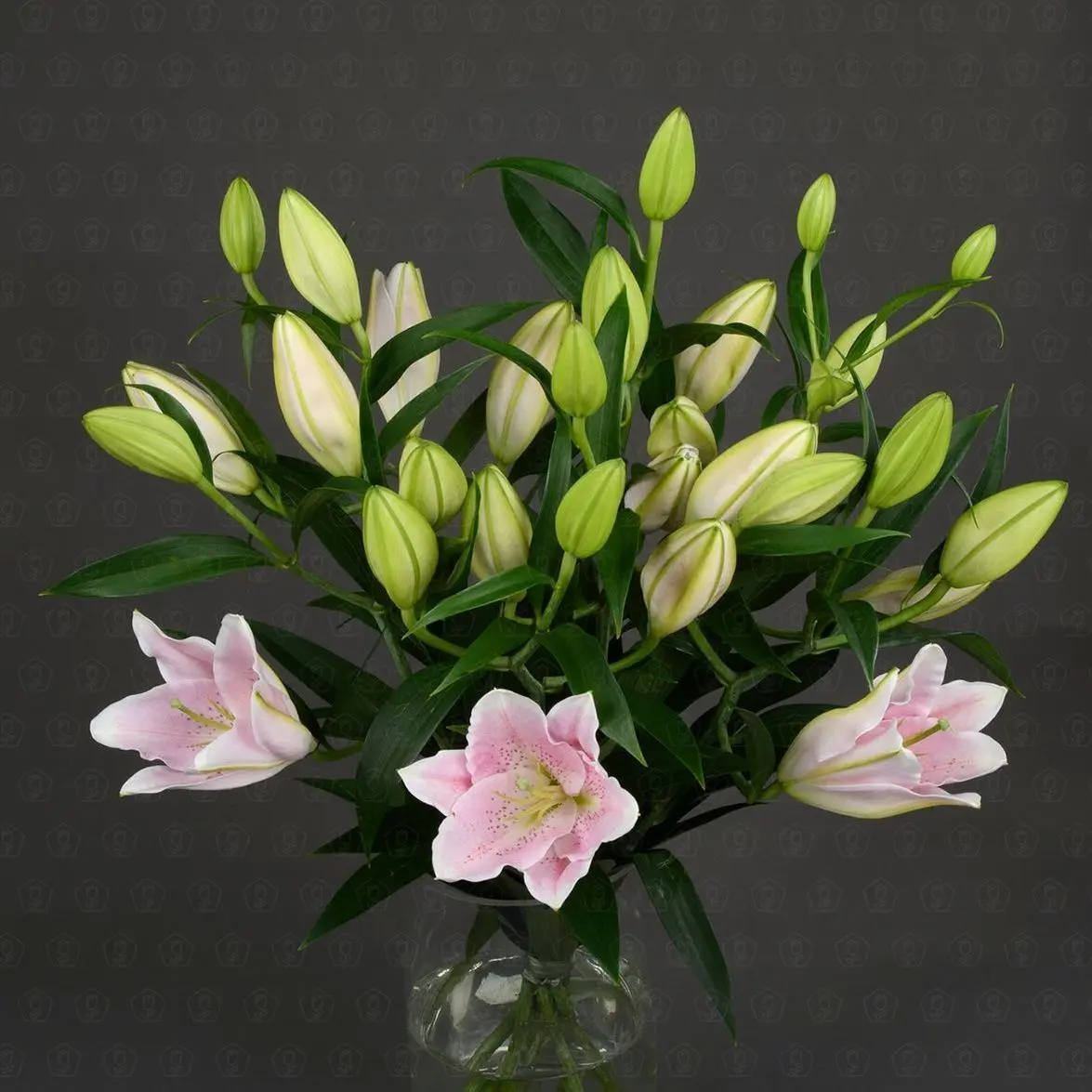 Лилия (Розовая)