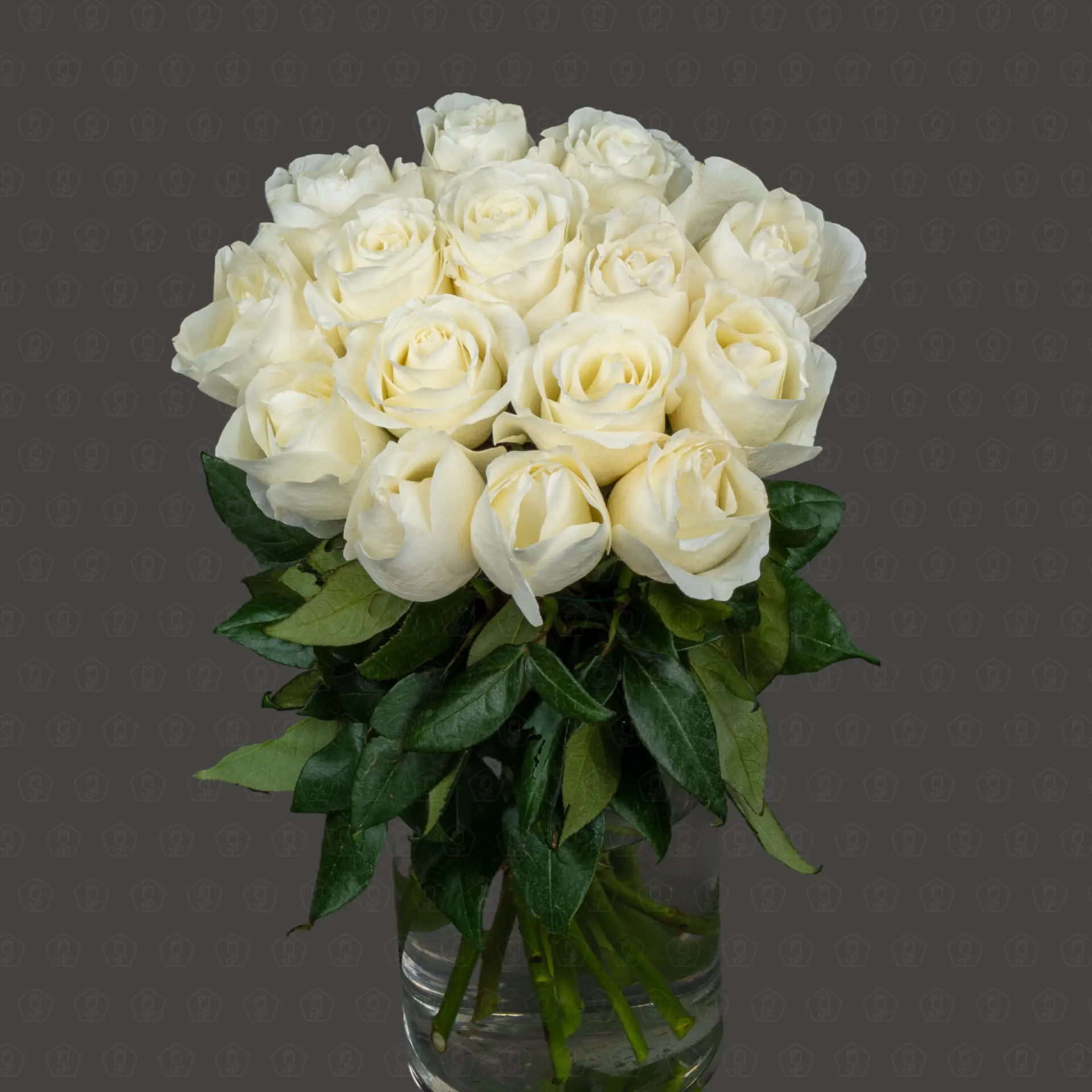 Роза Эквадор 50 см. (Тибет)