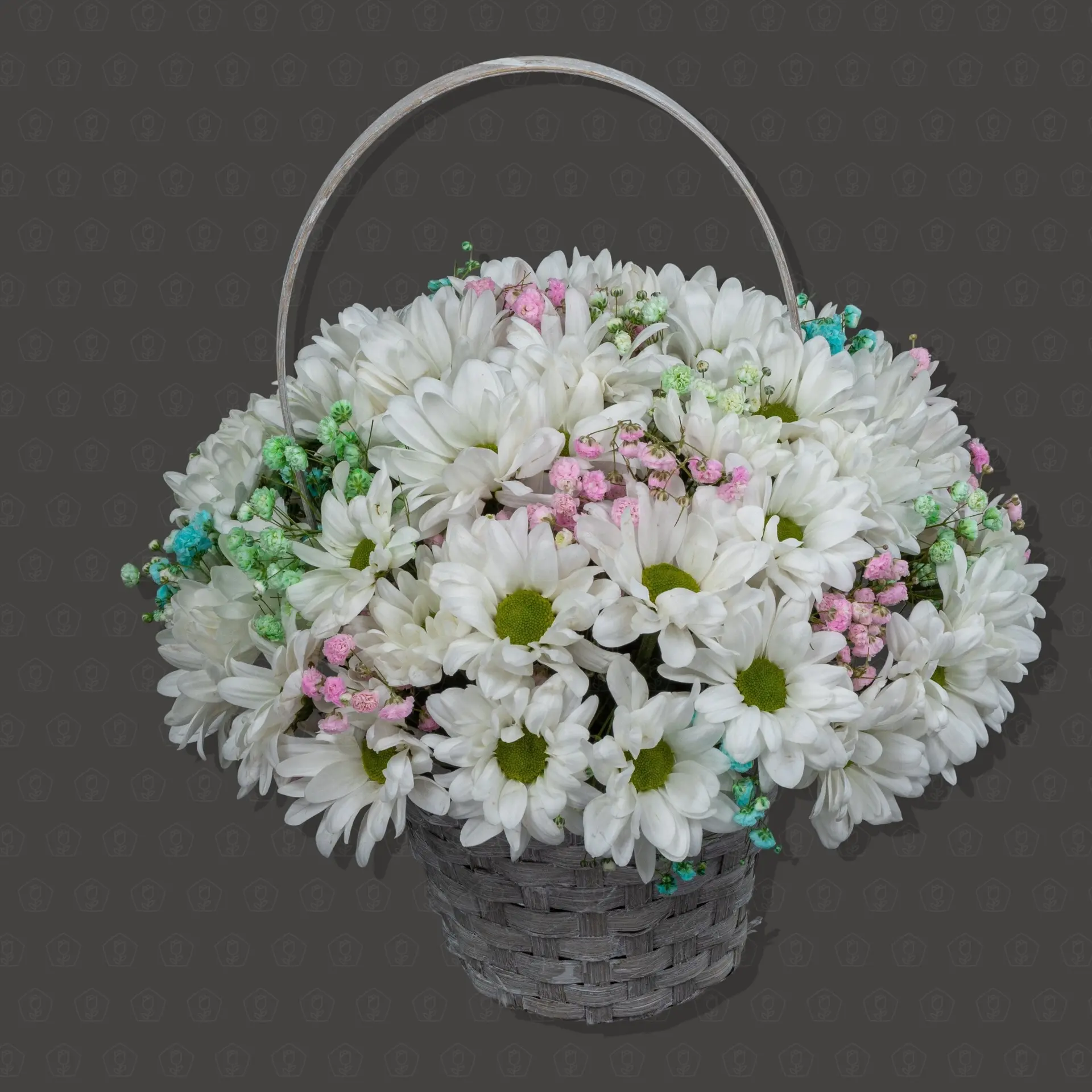 Ромашковое поле