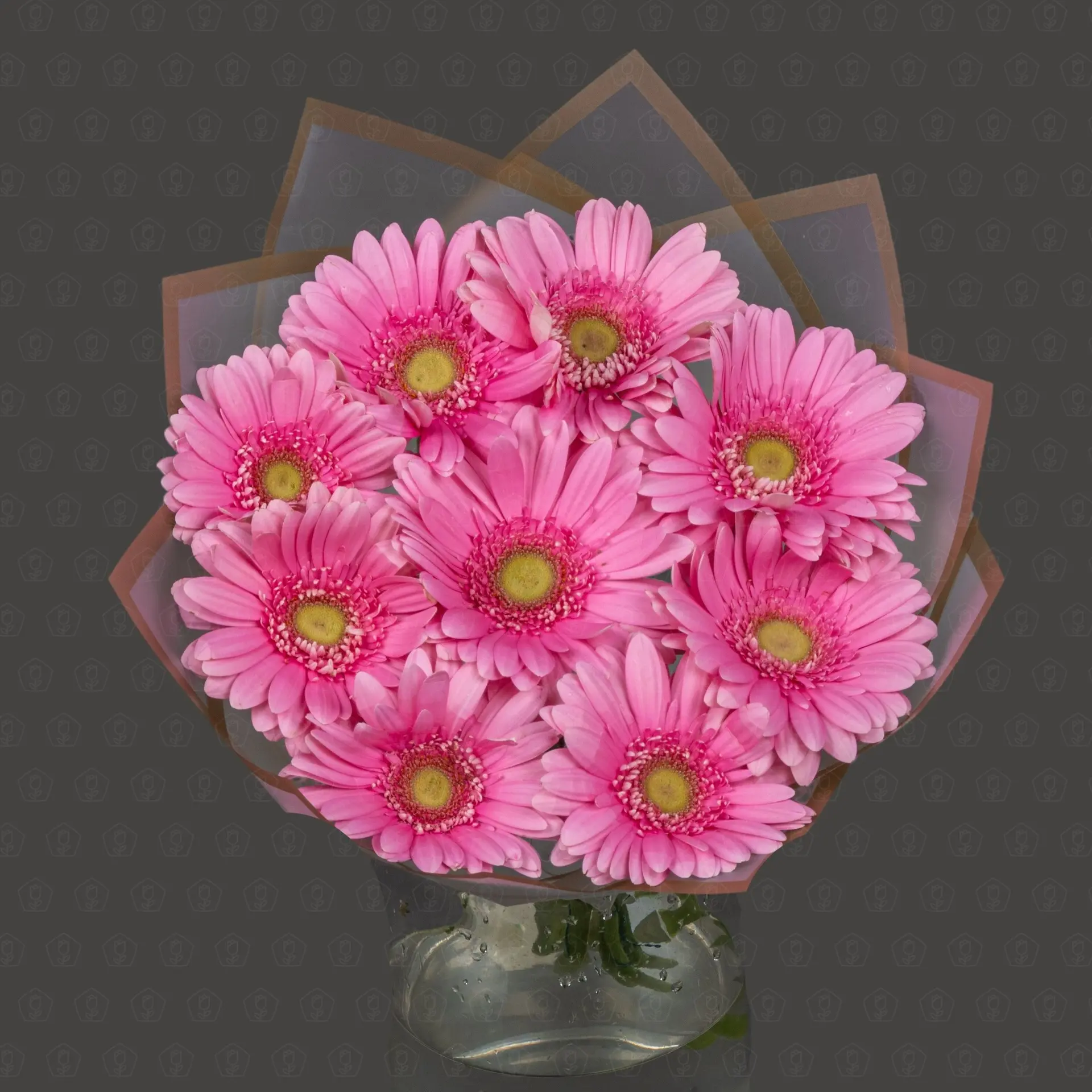 Акция! 9 Гербер Беллароса с оформлением Премиум