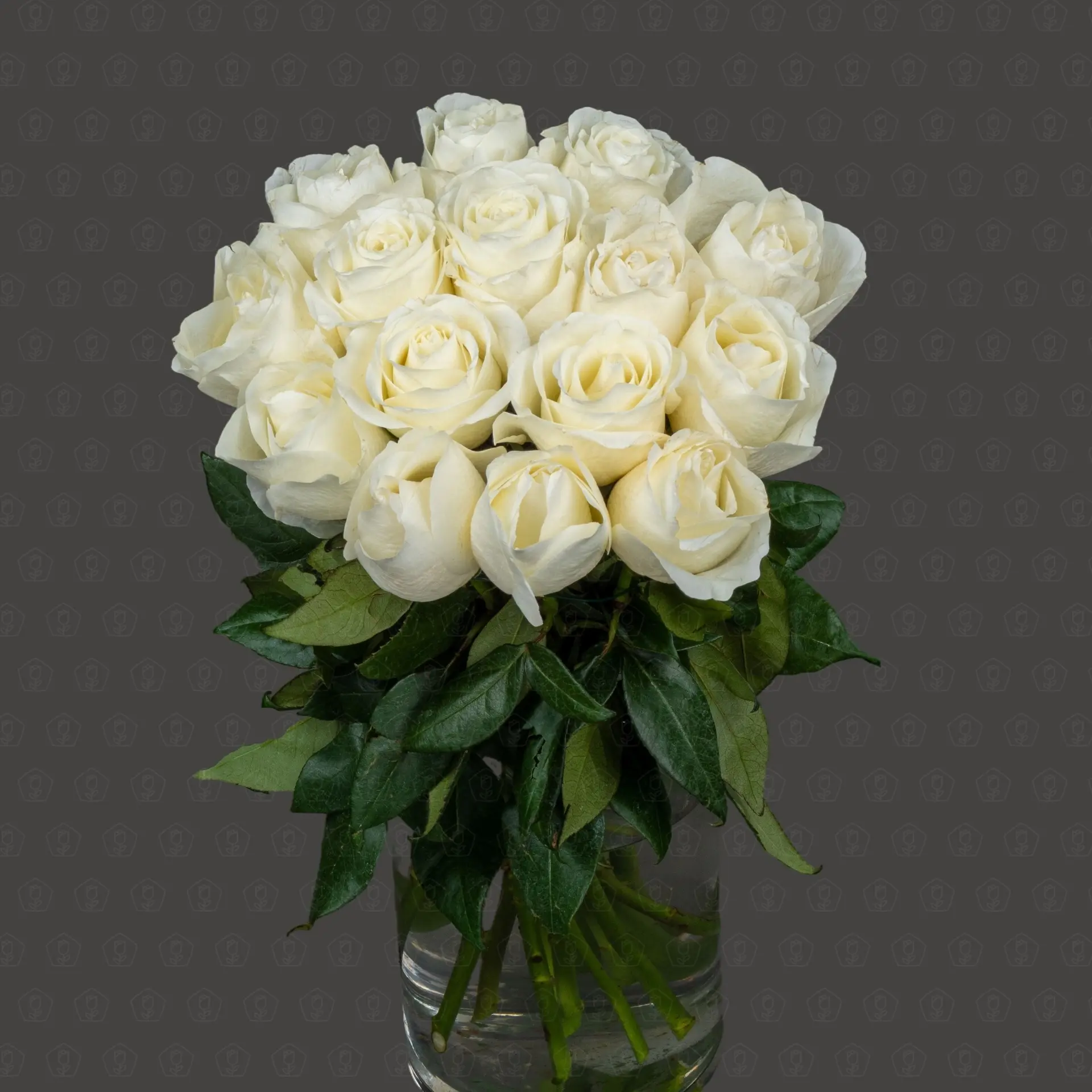 Роза Эквадор 50 см. (Тибет)