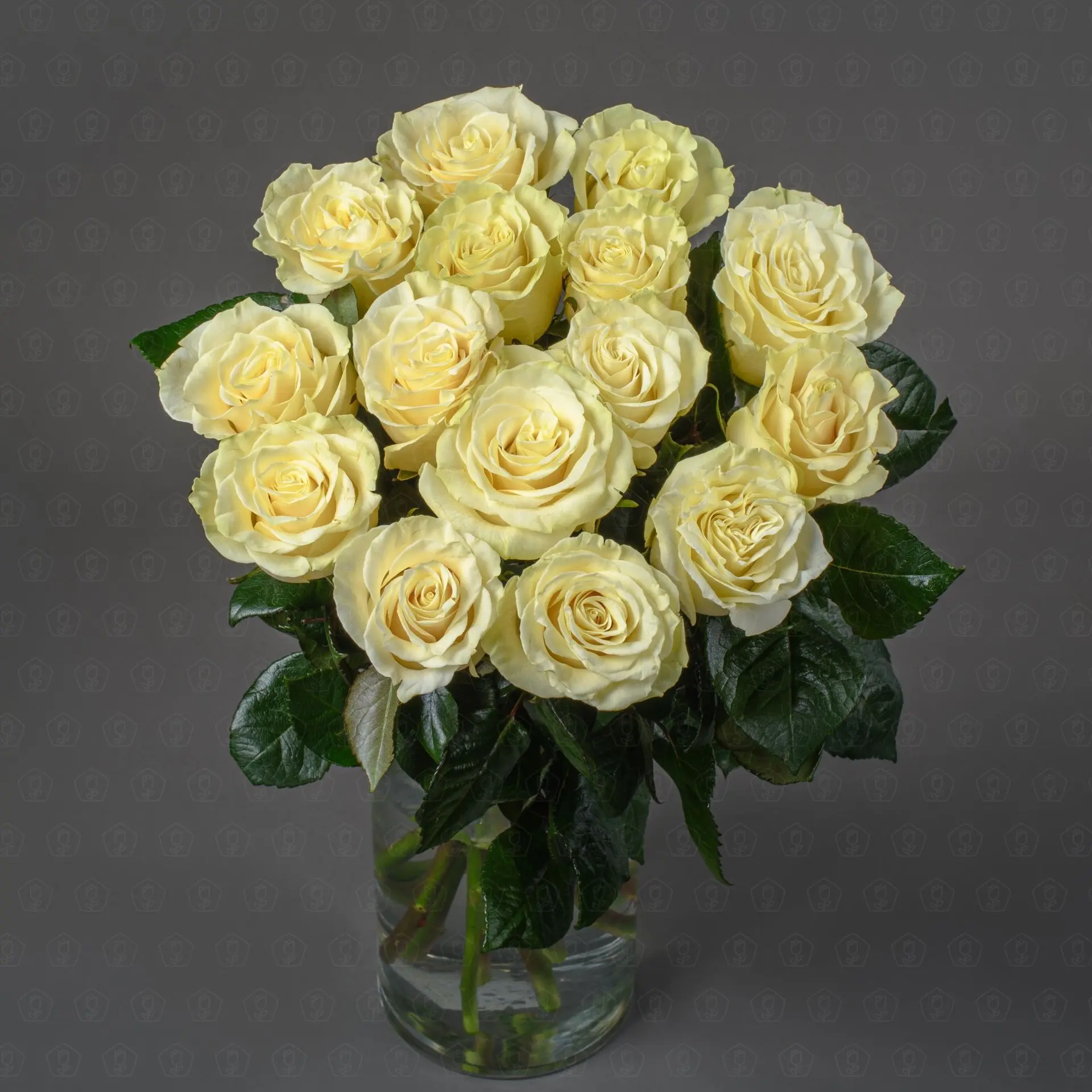 GFblZFt7fF.jpeg GFblZFt7fF.jpeg