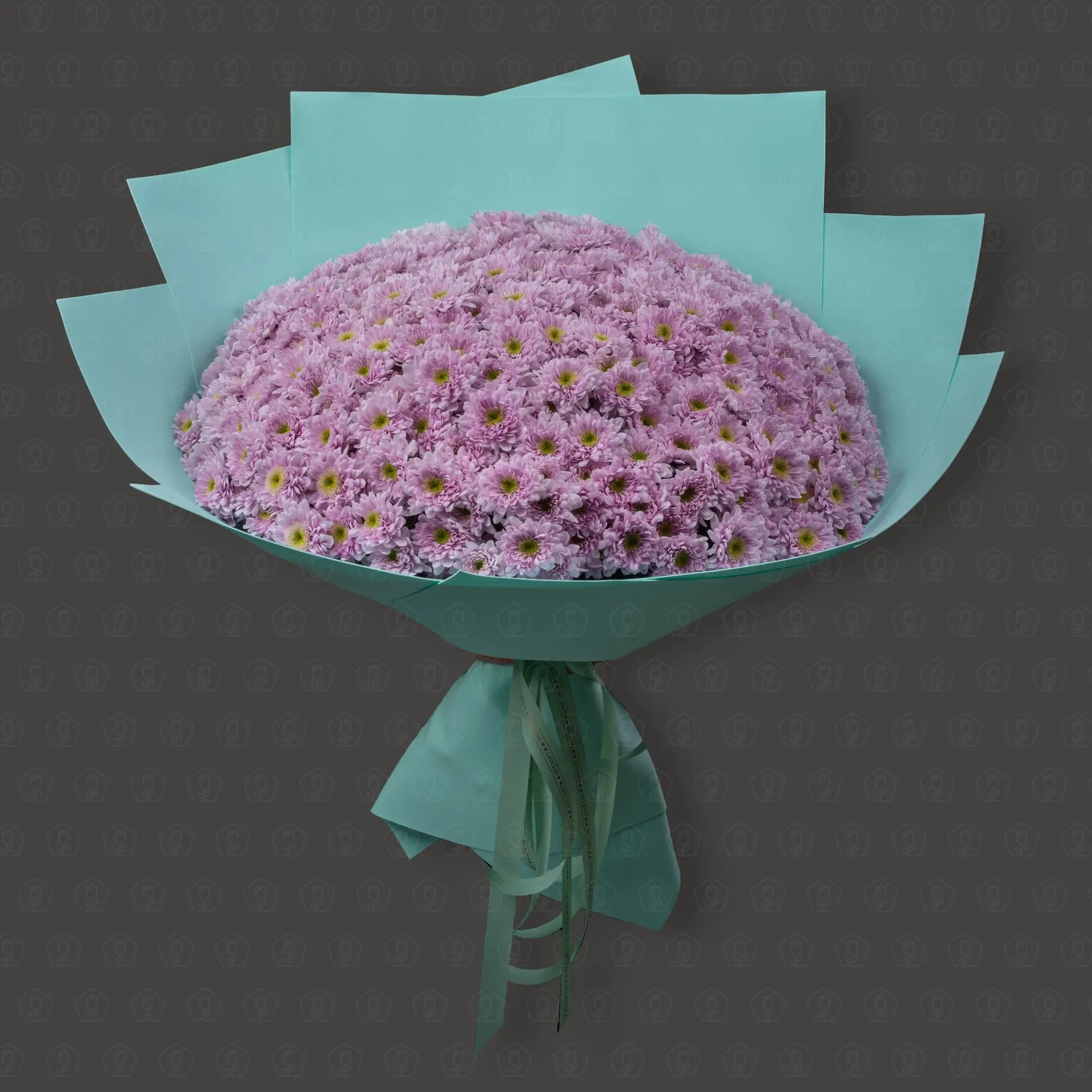 51 кустовая хризантема Гигант "Причина сказать "Да"