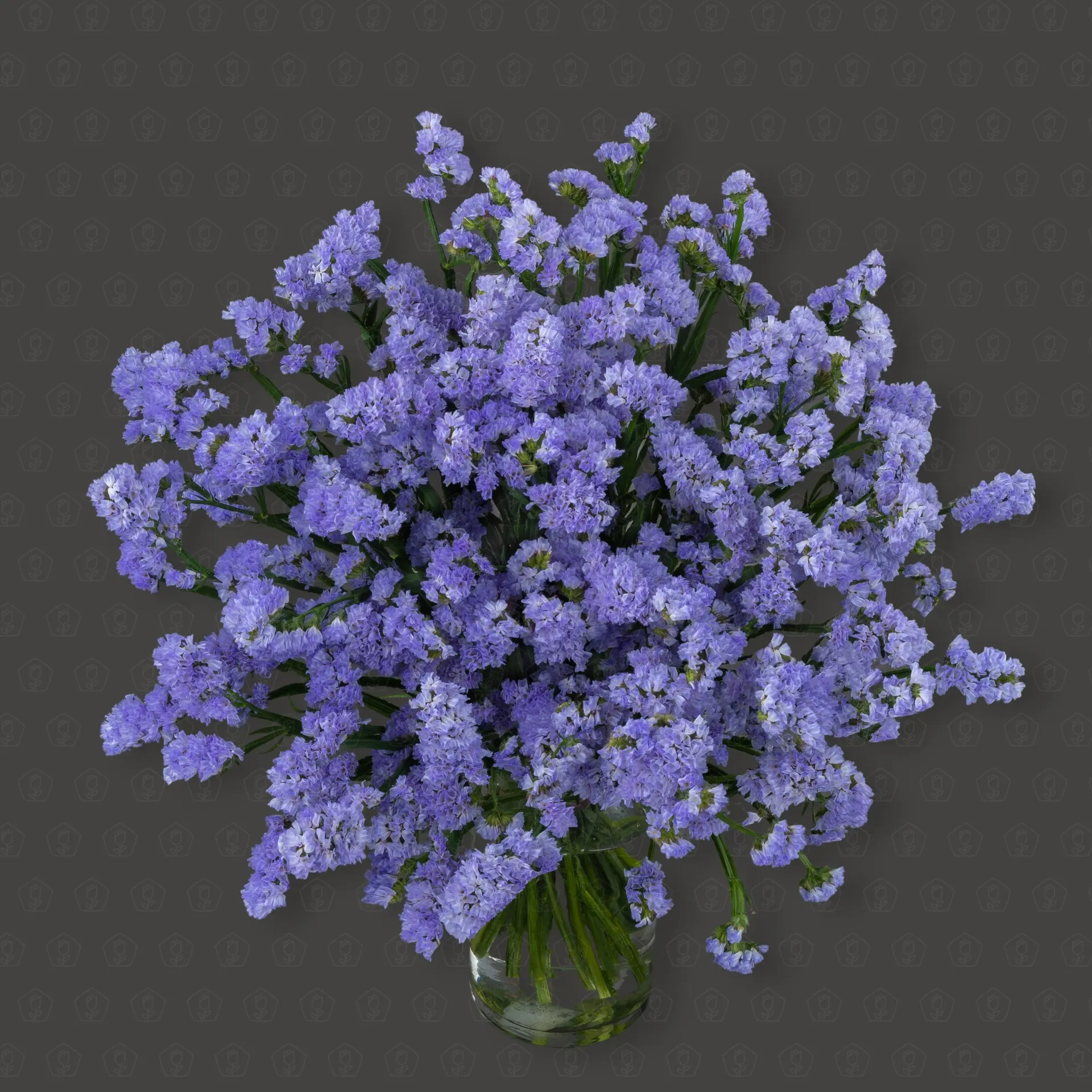 Статица (Сиреневая)