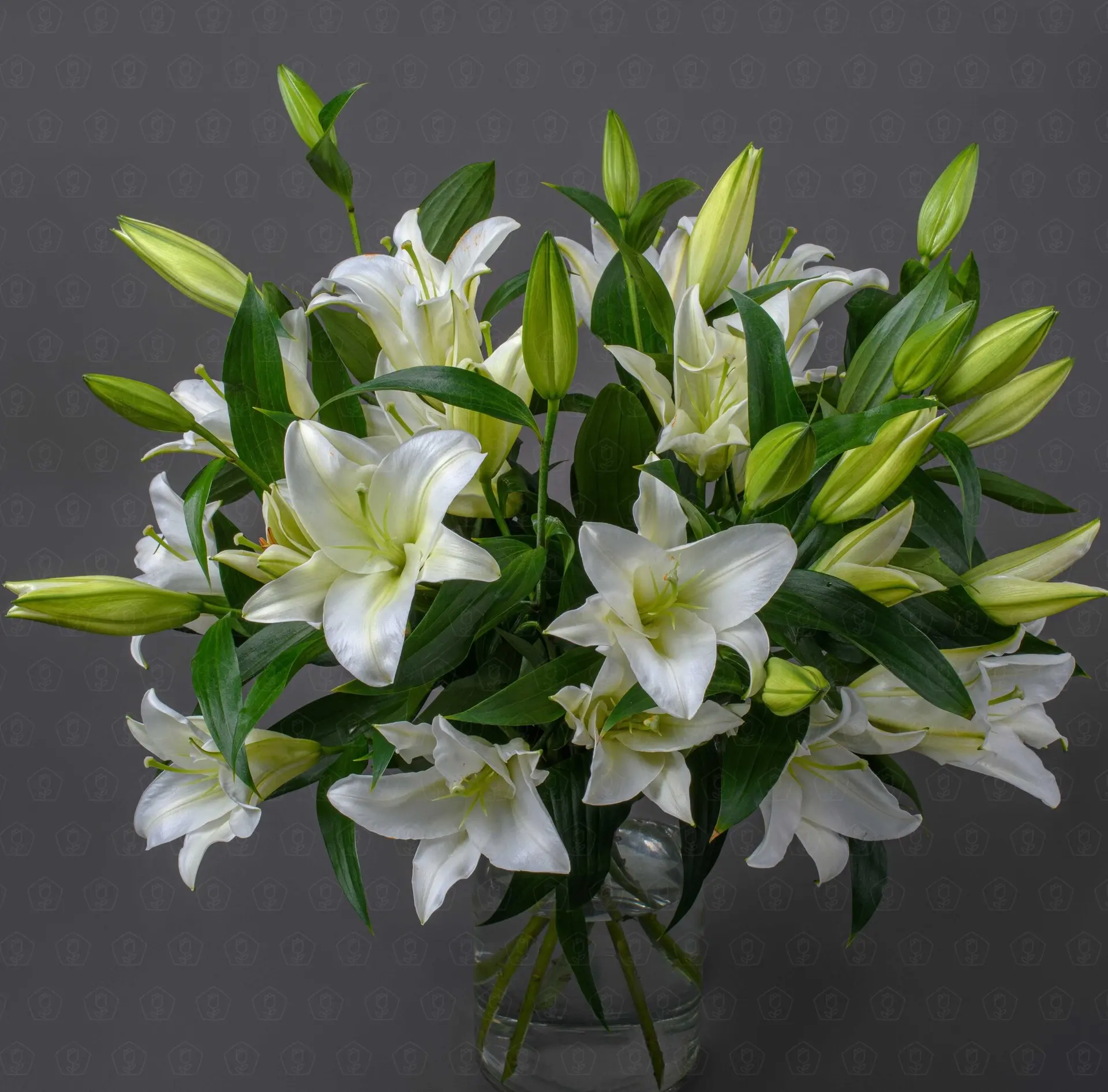 Лилия (Белая)