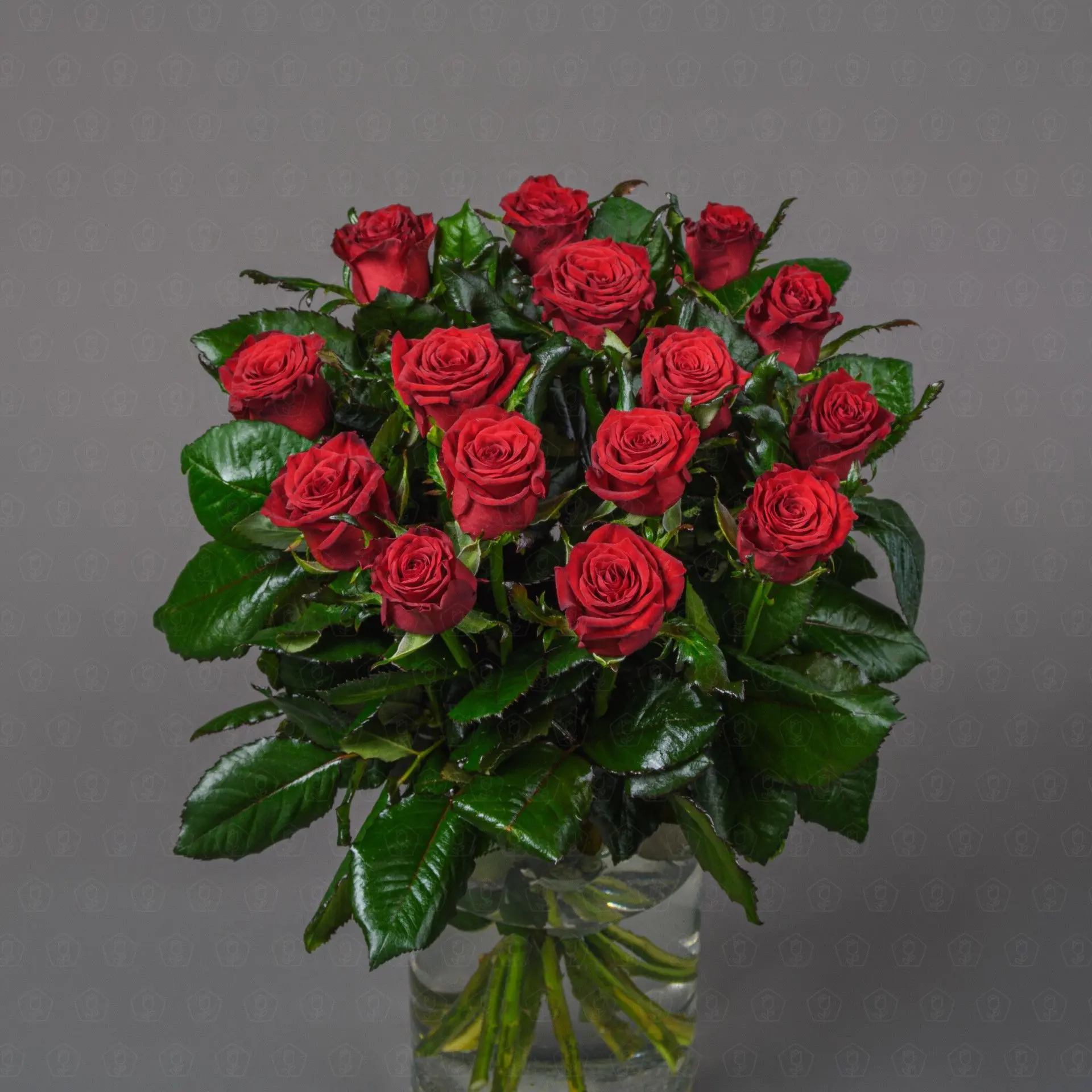 Роза Россия 50 см. (Престиж) Роза Россия 50 см. (Престиж)