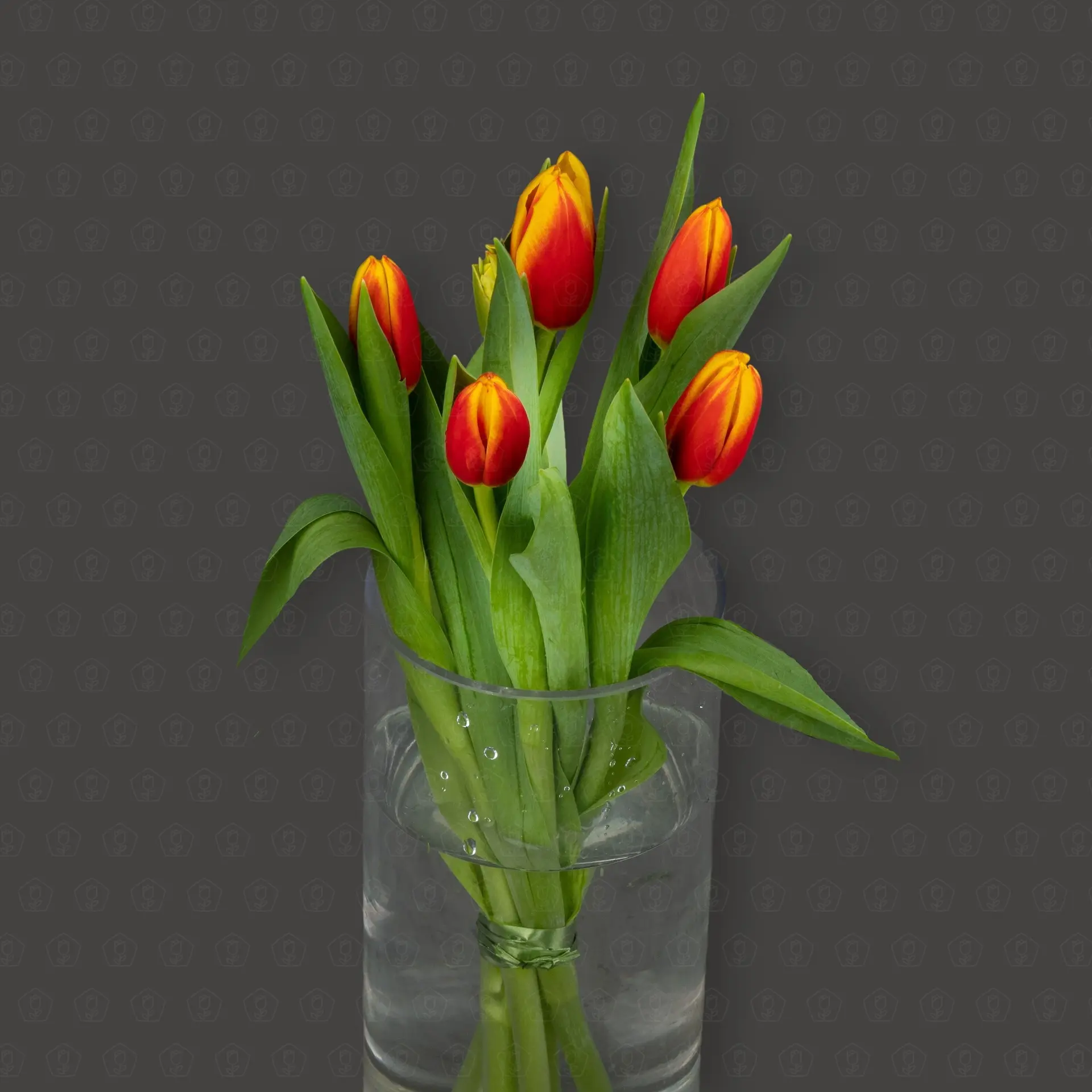 Тюльпан 50 см. (Красно-желтый) Упаковка 5 шт.