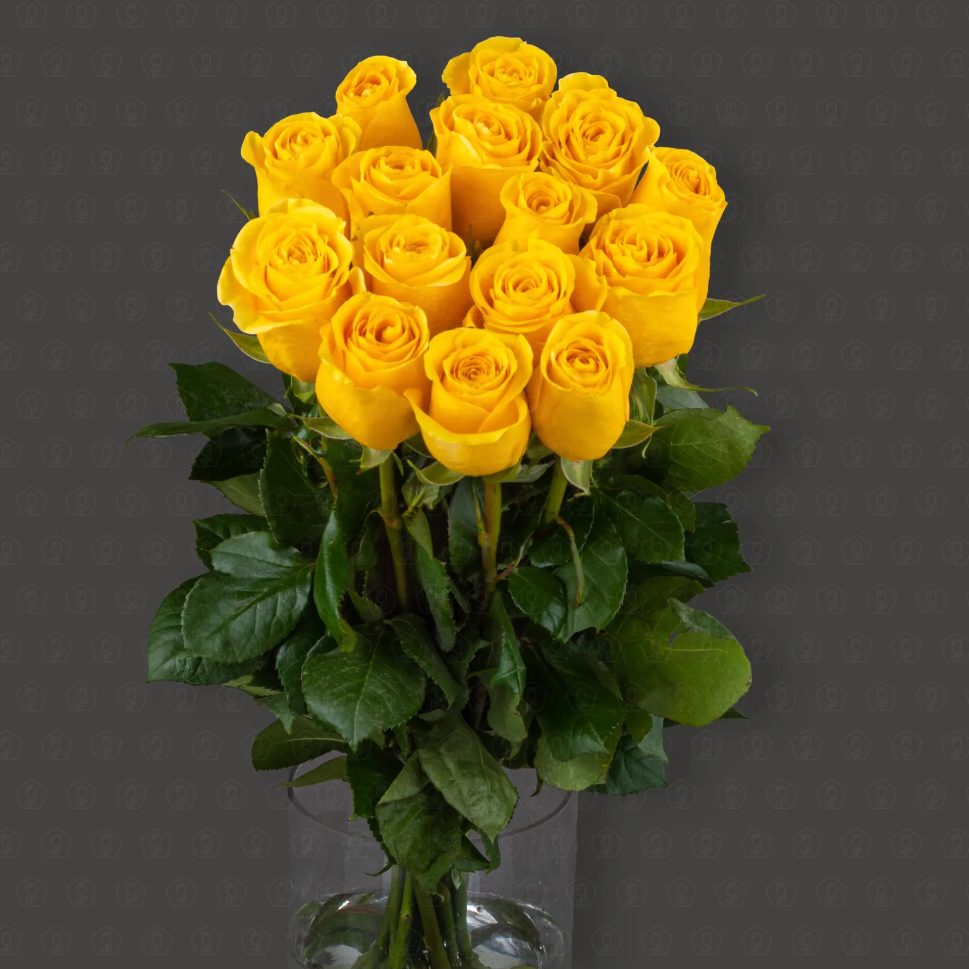 Роза Эквадор 70 см. (Брайтон)