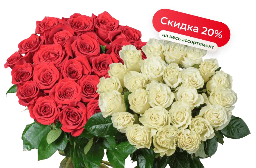Весь ФЕВРАЛЬ скидка 20% при покупке на сайте Весь ФЕВРАЛЬ скидка 20% при покупке на сайте