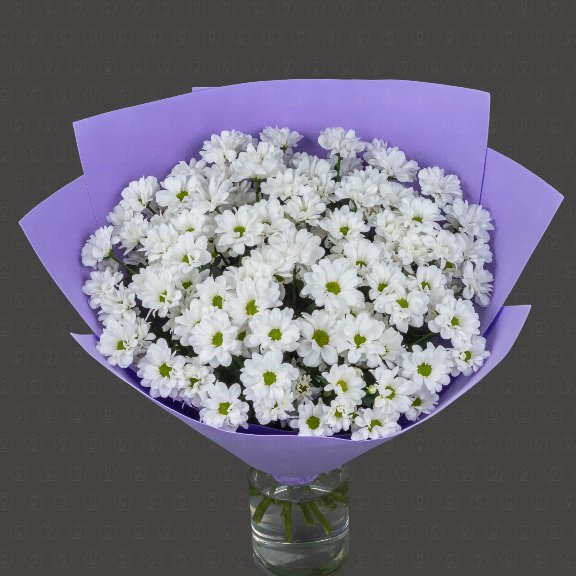 Акция! 15 Кустовых хризантем Чик с оформлением Премиум