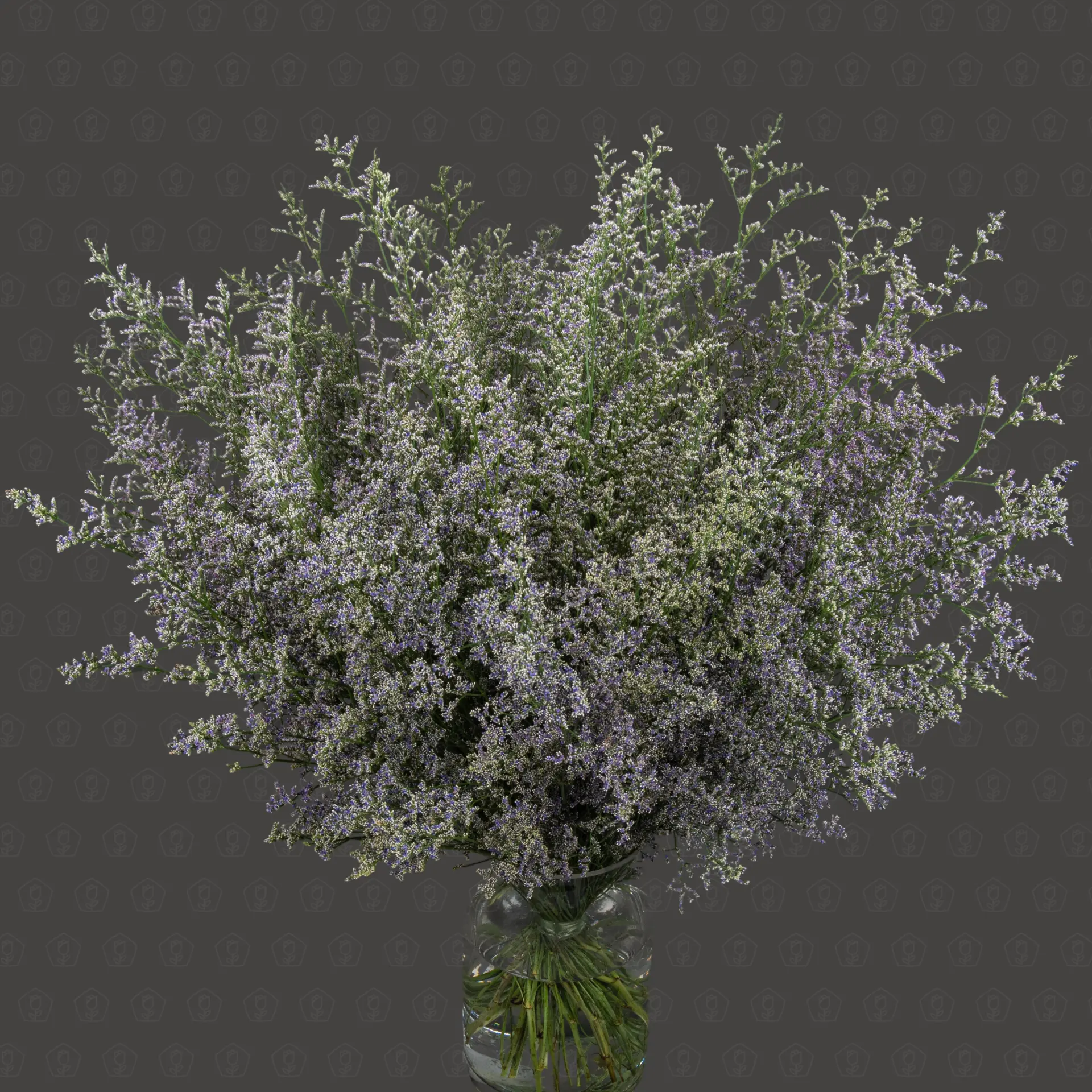 Лимониум (Синий)