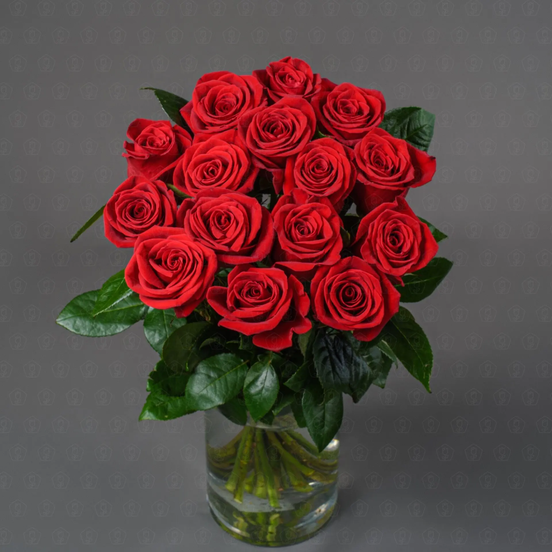 Роза Эквадор 70 см. (Фридом)