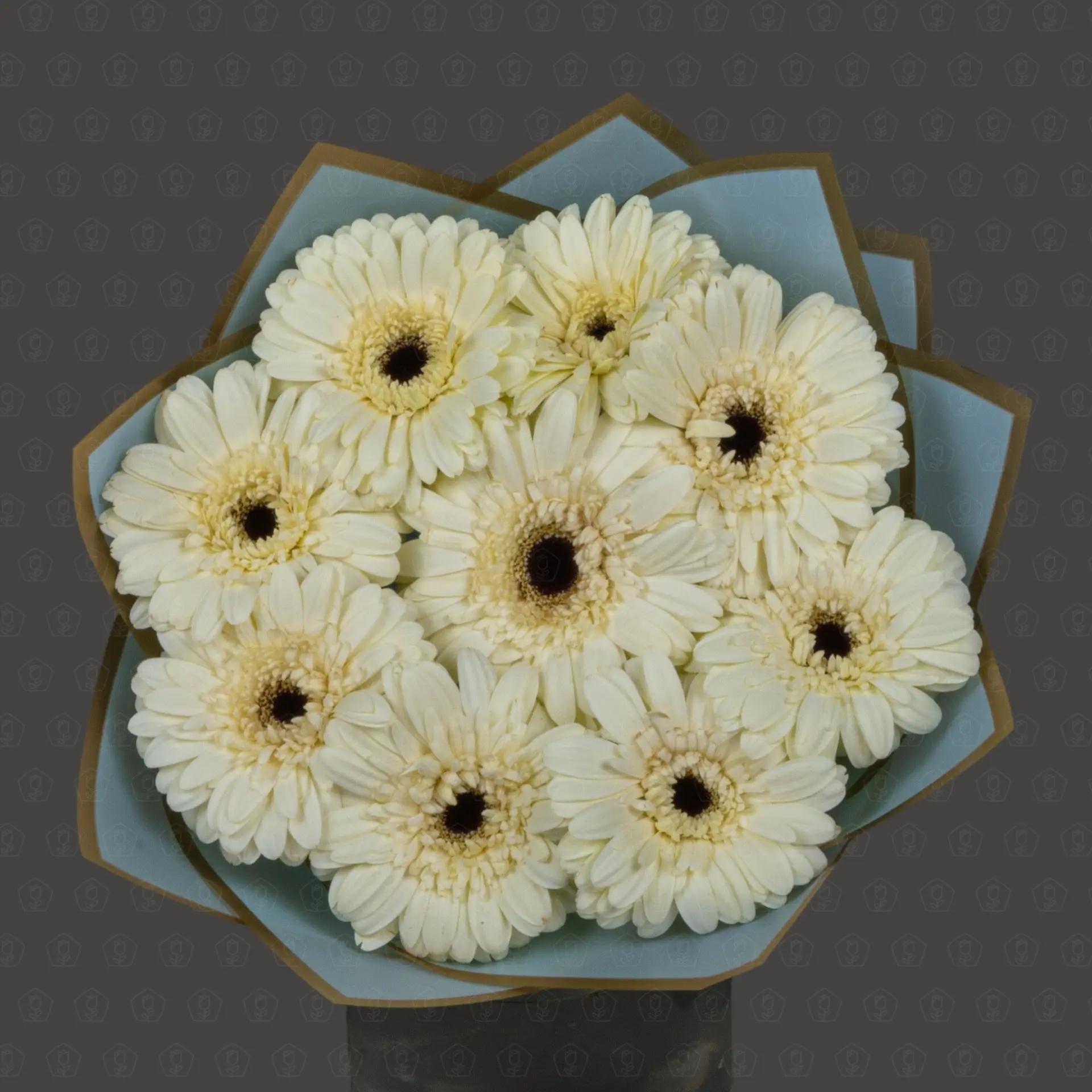 Акция! 9 Гербер Касабланка с оформлением Премиум