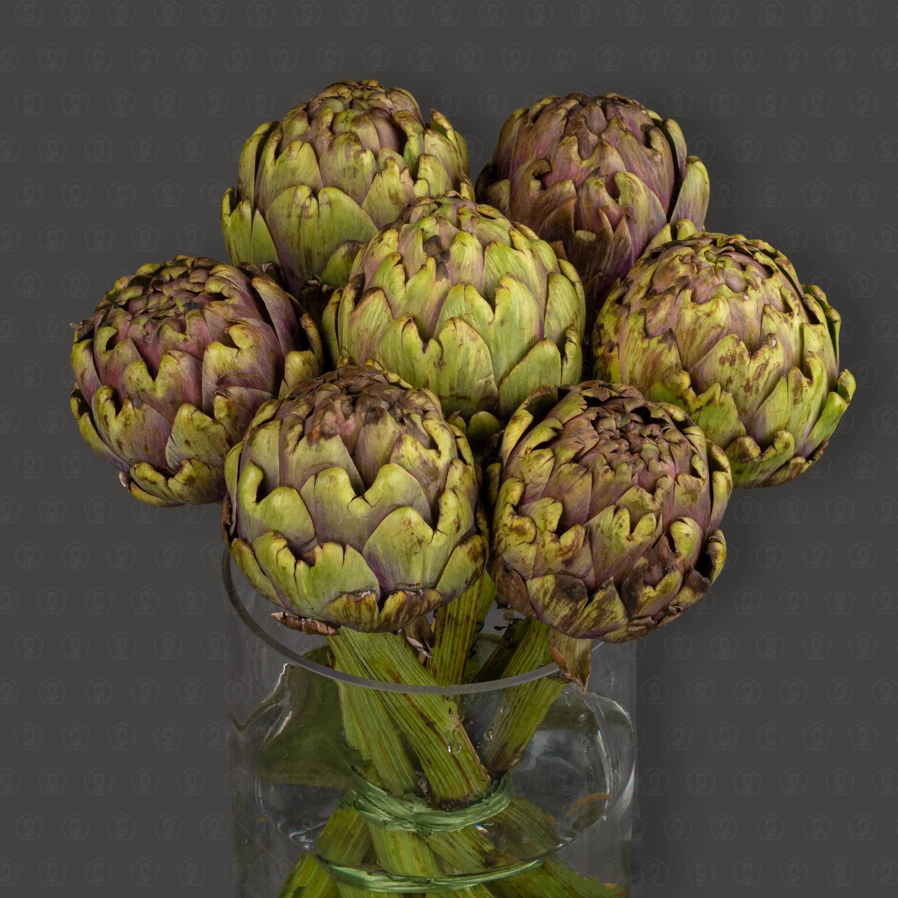 Цинара (Фиолетовая)