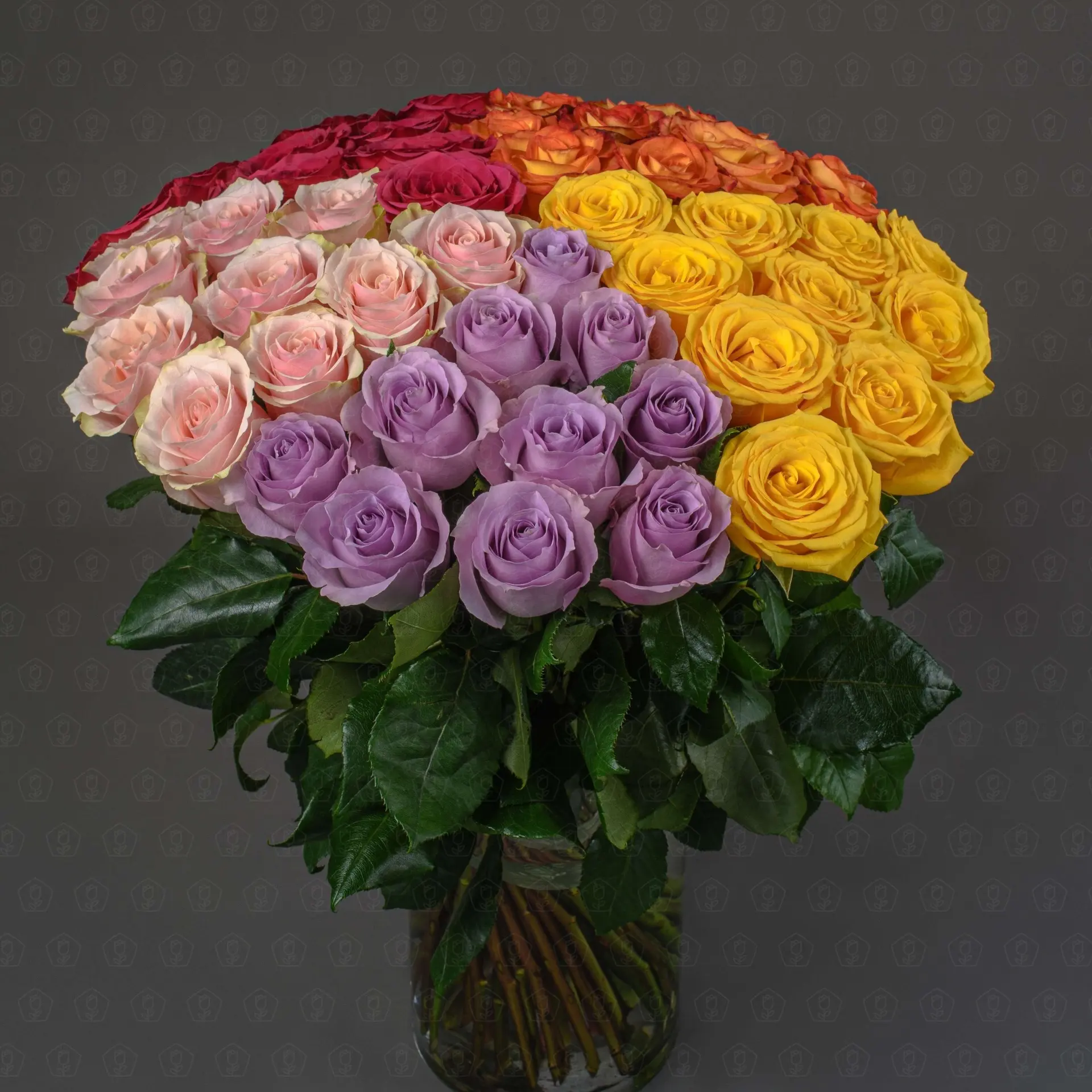 Роза Эквадор 50 см. (МИКС)