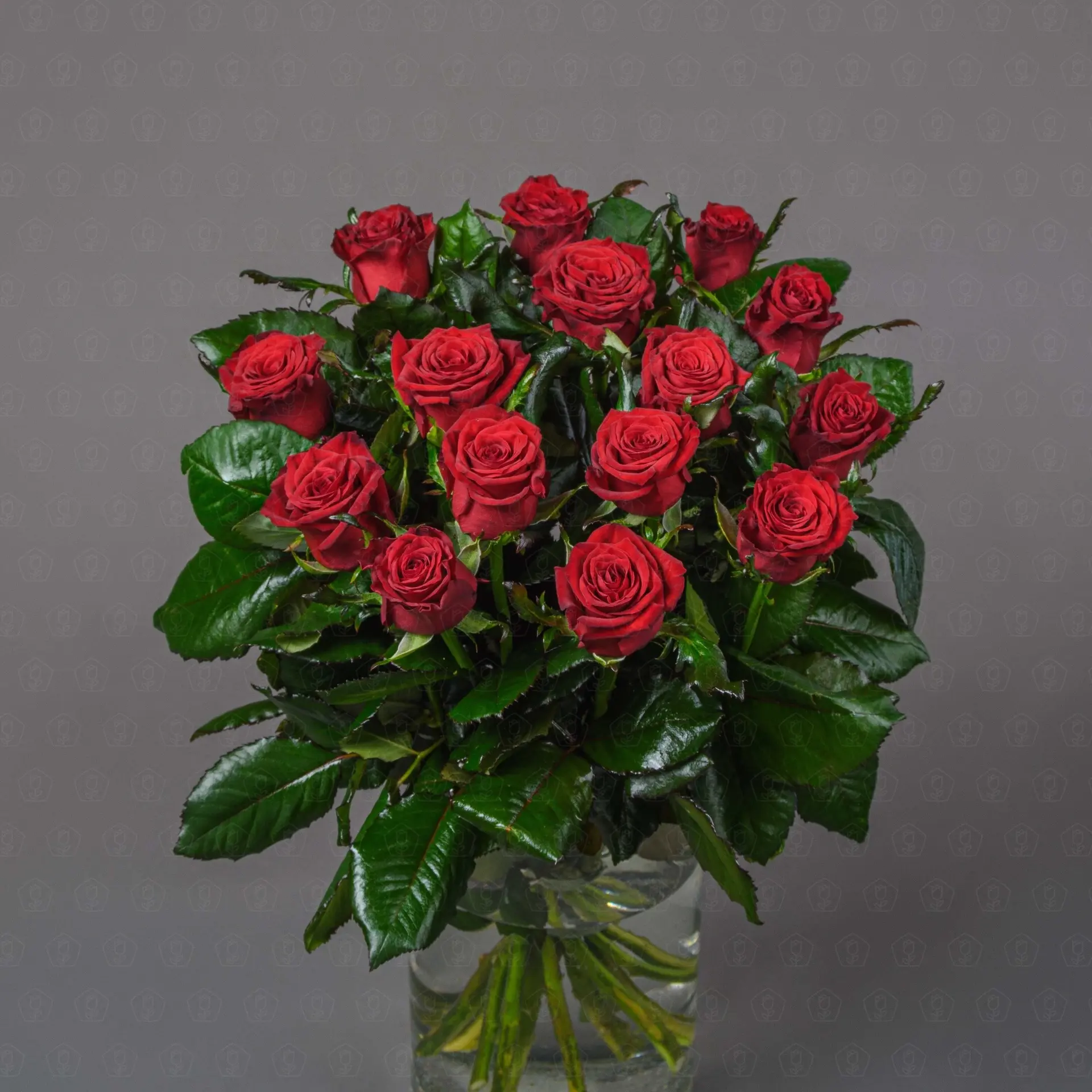 Роза Россия 50 см. (Престиж)