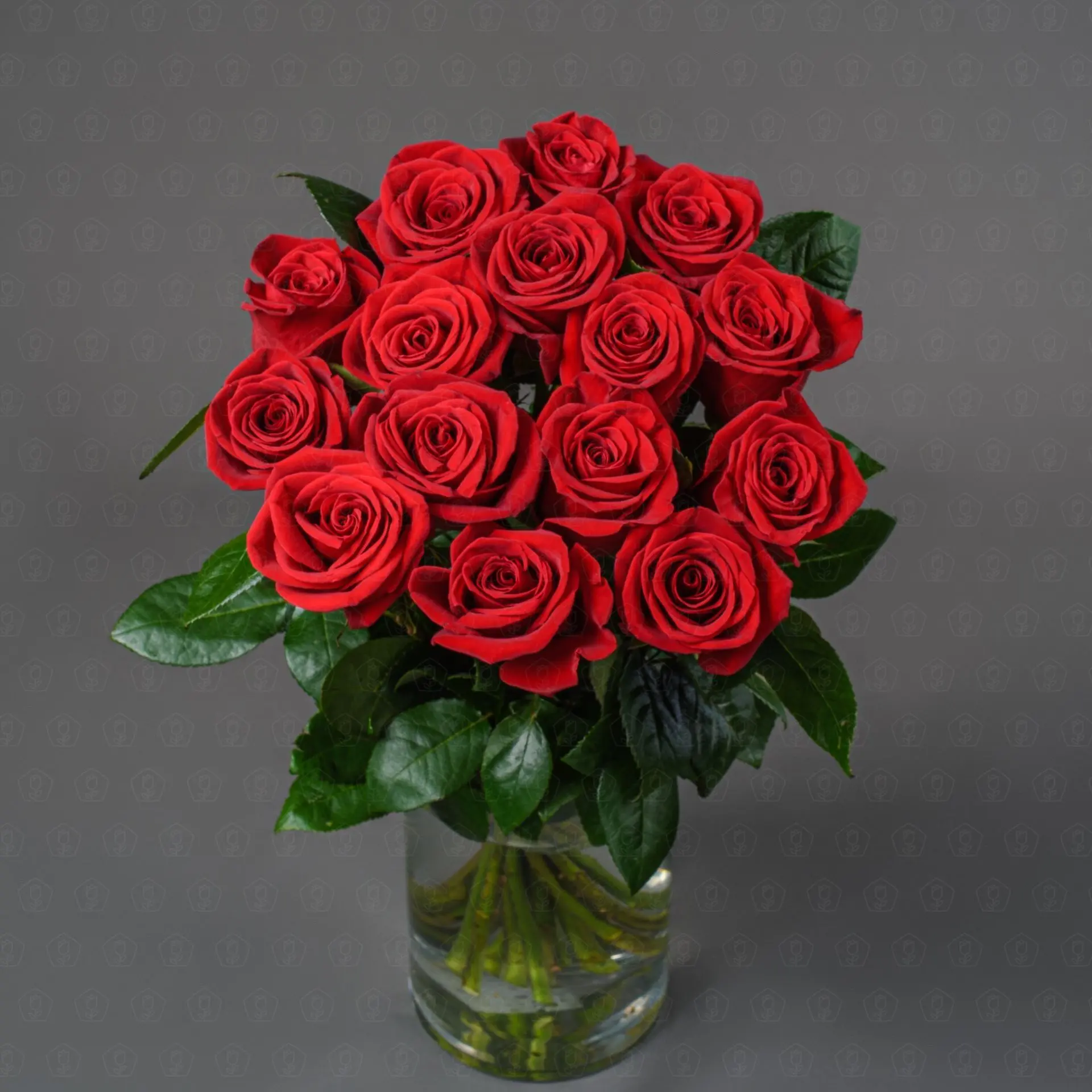 Роза Эквадор 50 см. (Фридом)