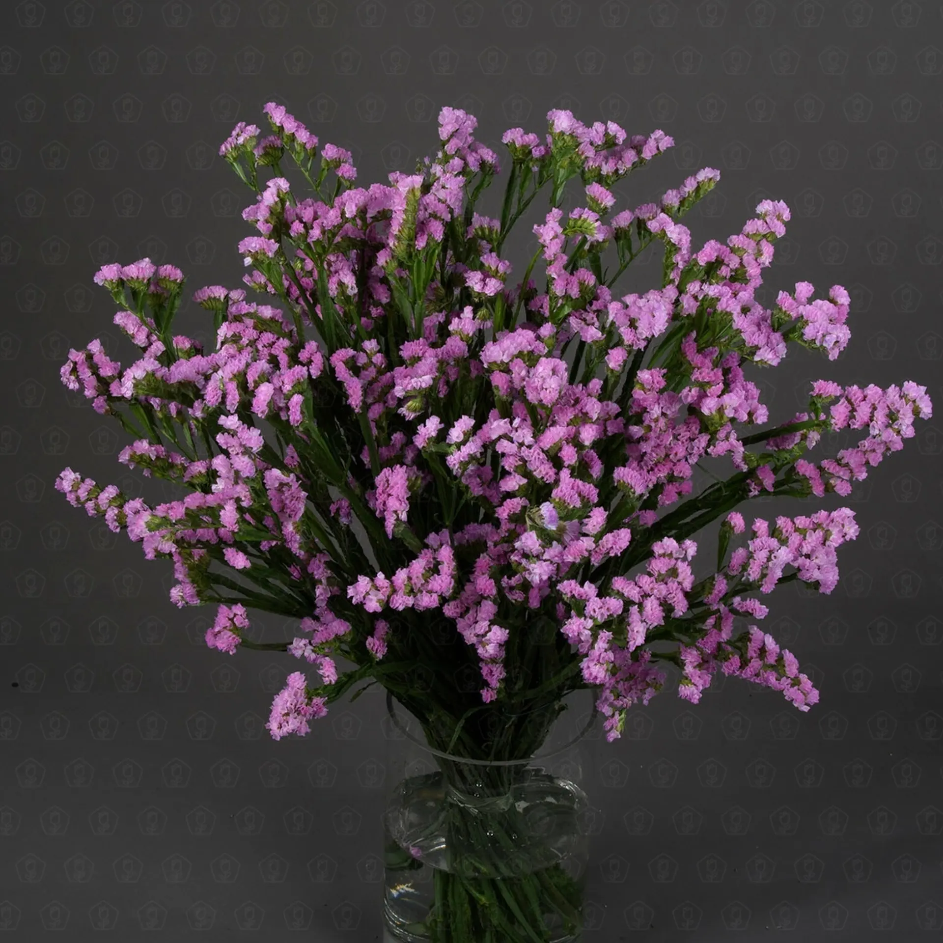 Статица (Розовая)