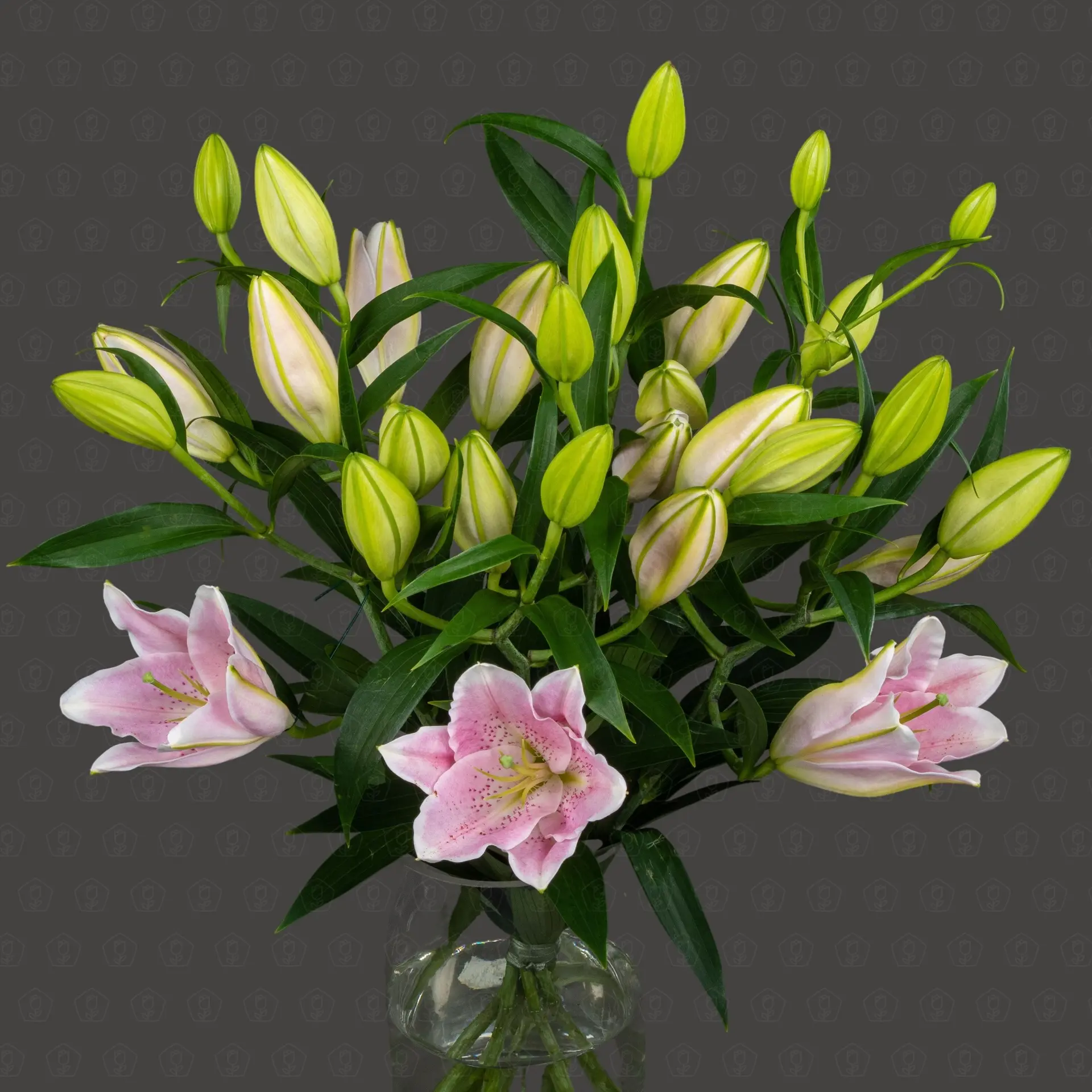 Лилия (Розовая)