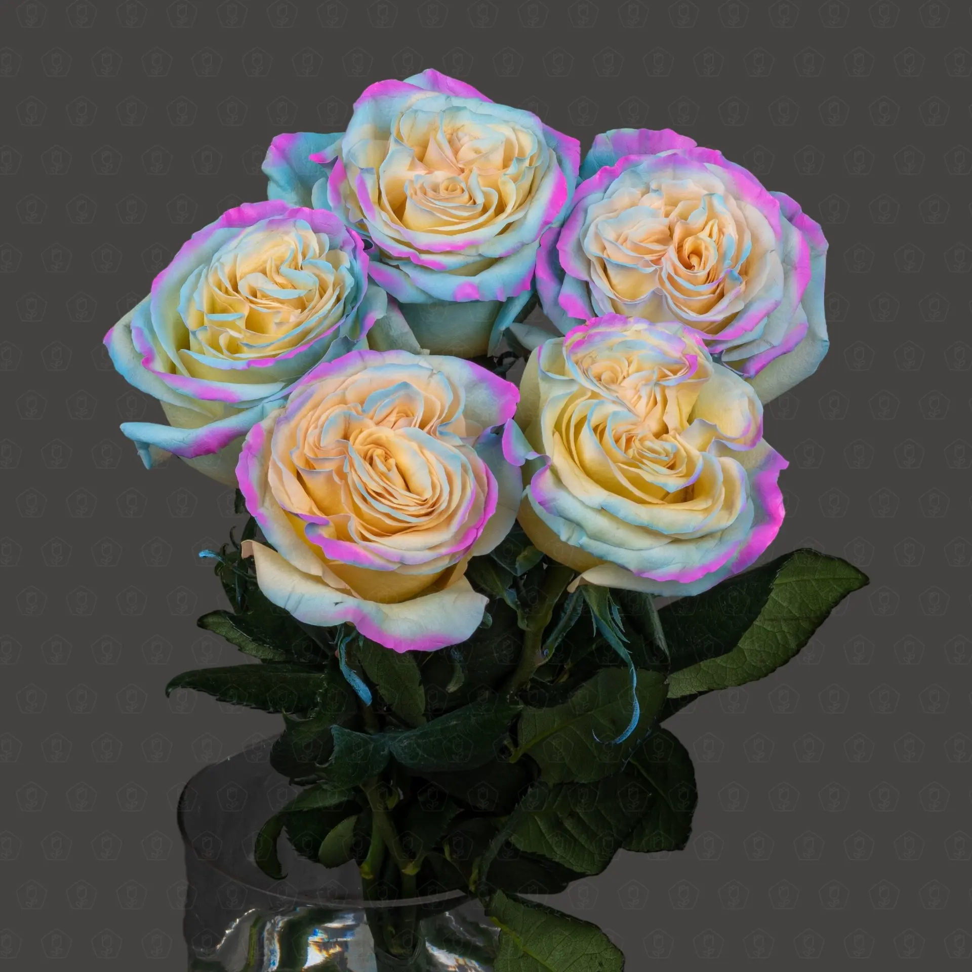 F6jvJ6nfY5.jpg F6jvJ6nfY5.jpg
