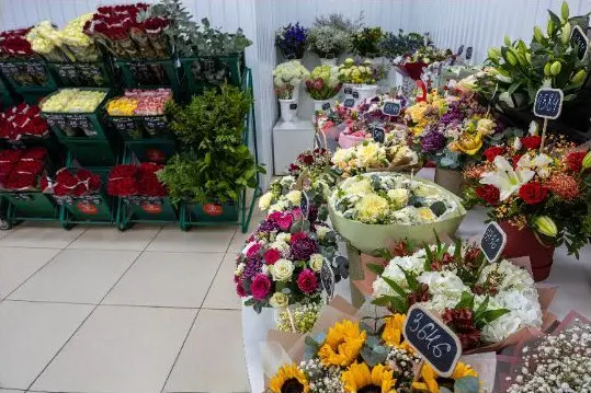 Салон магазина 4 Салон магазина 4