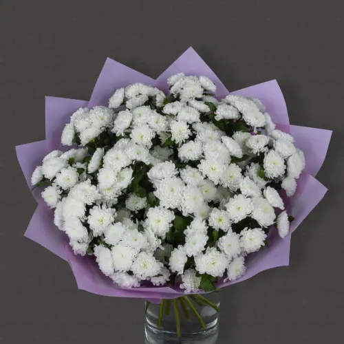 Акция! 15 хризантем Сантини Байкал с оформлением Премиум