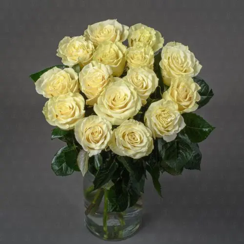 Роза Эквадор 70 см. (Мондиаль) Роза Эквадор 70 см. (Мондиаль)