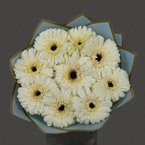 Акция! 9 Гербер Касабланка с оформлением Премиум