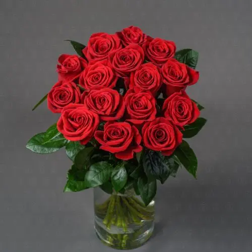 Роза Эквадор 50 см. (Фридом) Роза Эквадор 50 см. (Фридом)