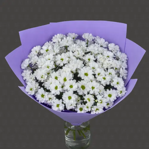 Акция! 15 Кустовых хризантем Чик с оформлением Премиум