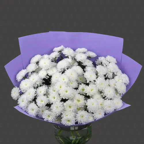 Акция! 15 Кустовых хризантем Алтай с оформлением Премиум