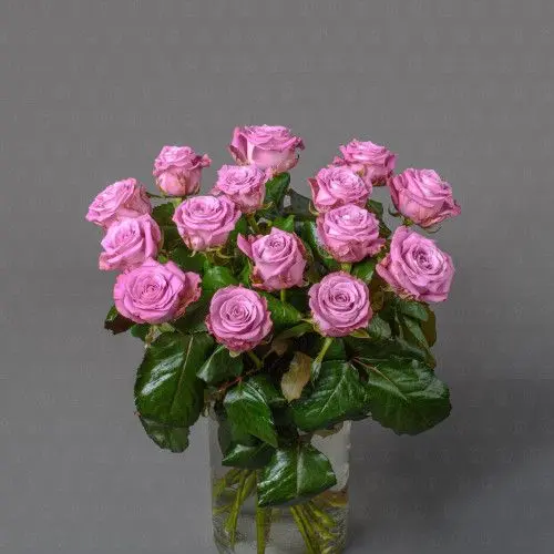 Роза Россия 50 см. (Миритим)