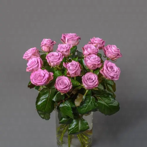 Роза Россия 50 см. (Миритим)