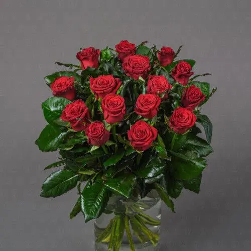 Роза Россия 70 см. (Престиж)