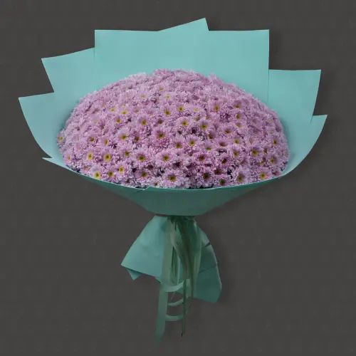 51 кустовая хризантема Гигант "Причина сказать "Да"